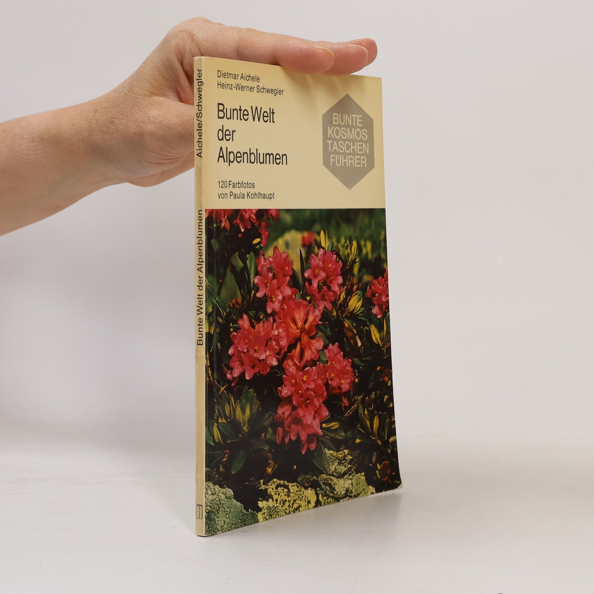 Paula Kohlhaupt Bunte Welt der Alpenblumen