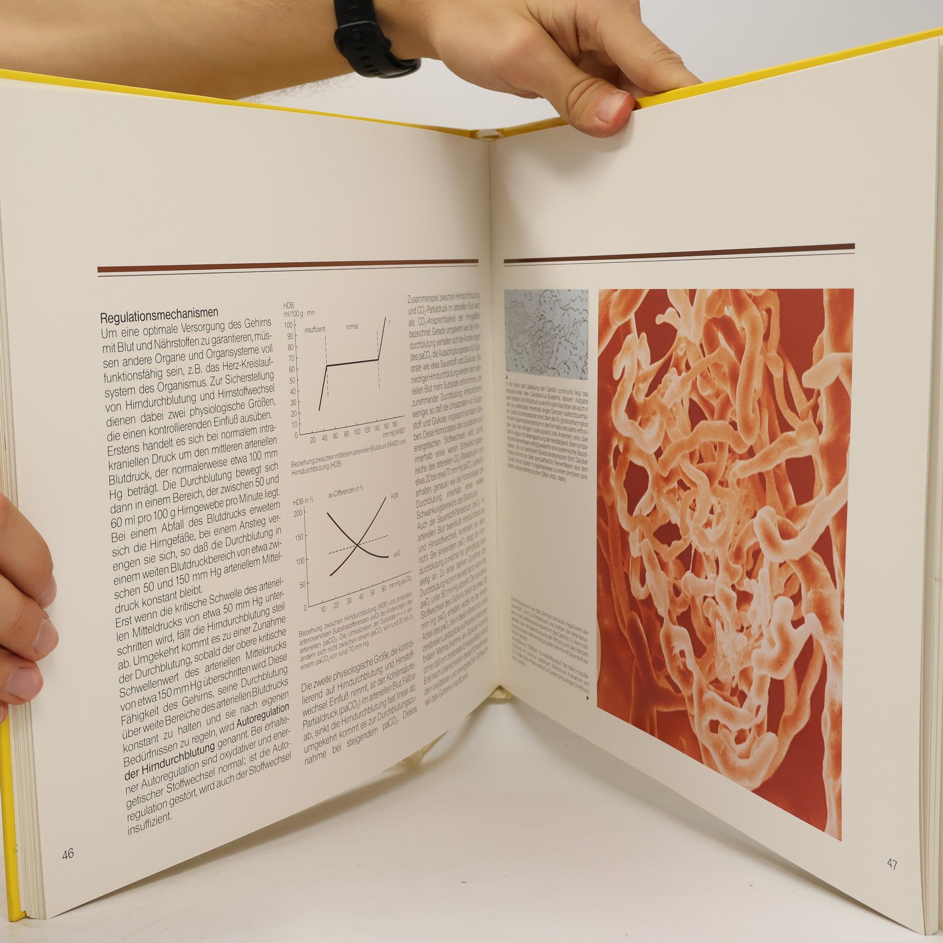 kolektiv Exempla functionis cerebri