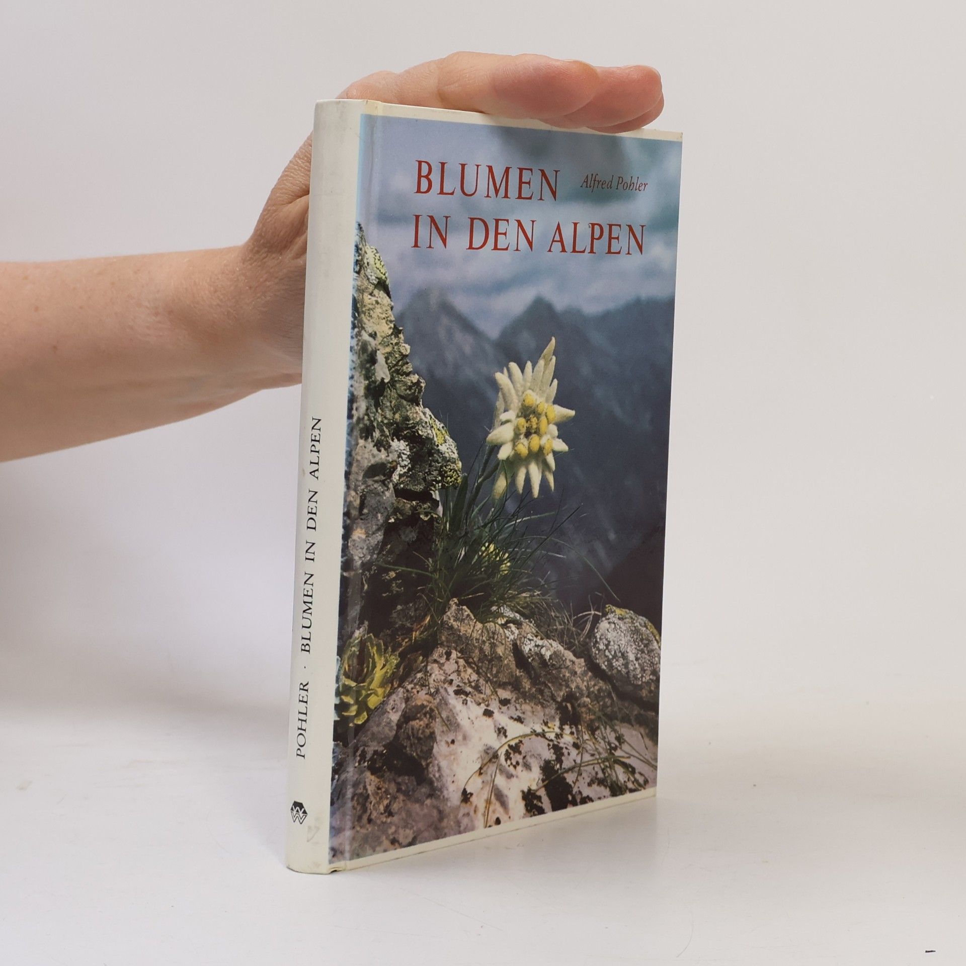 Alfred Pohler Blumen in den Alpen