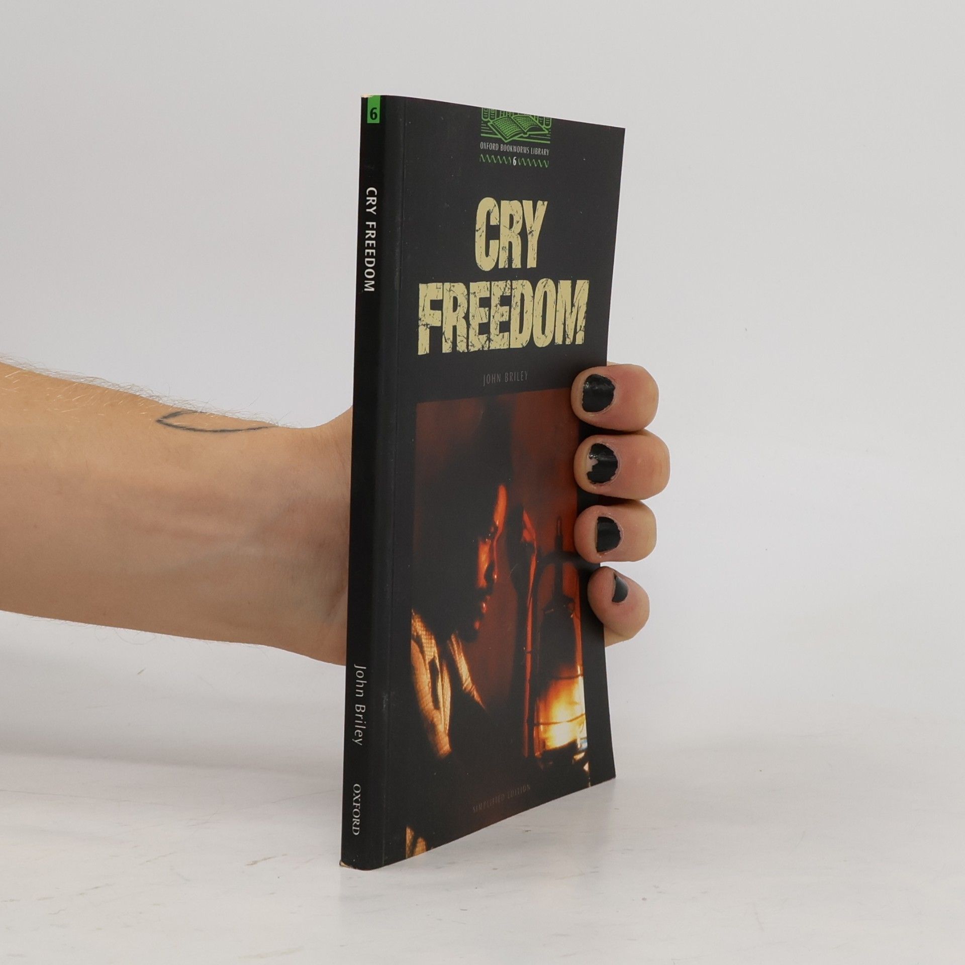 John Briley Cry freedom