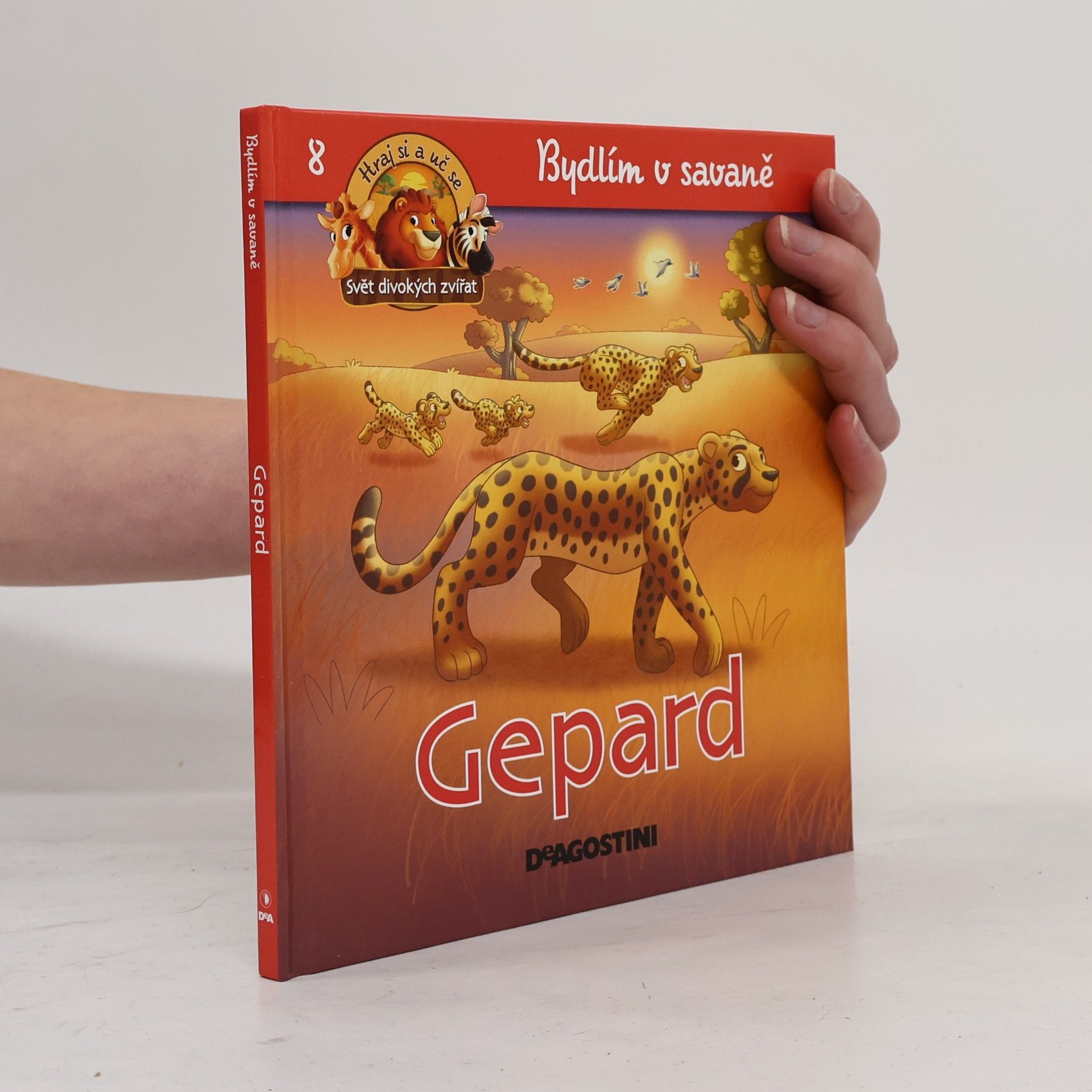Hana Fasurová Bydlím v savaně 8. Gepard