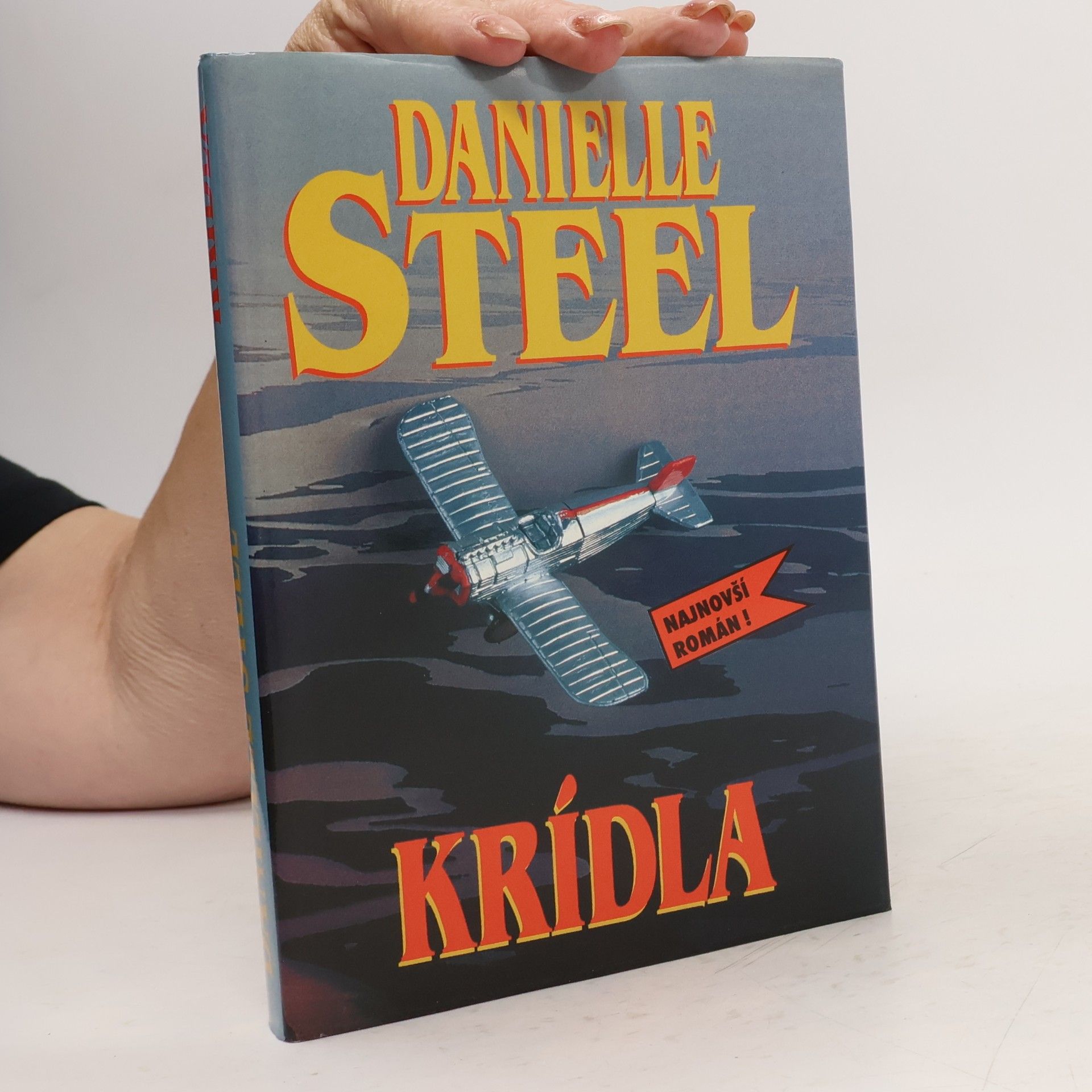 Danielle Steel Krídla