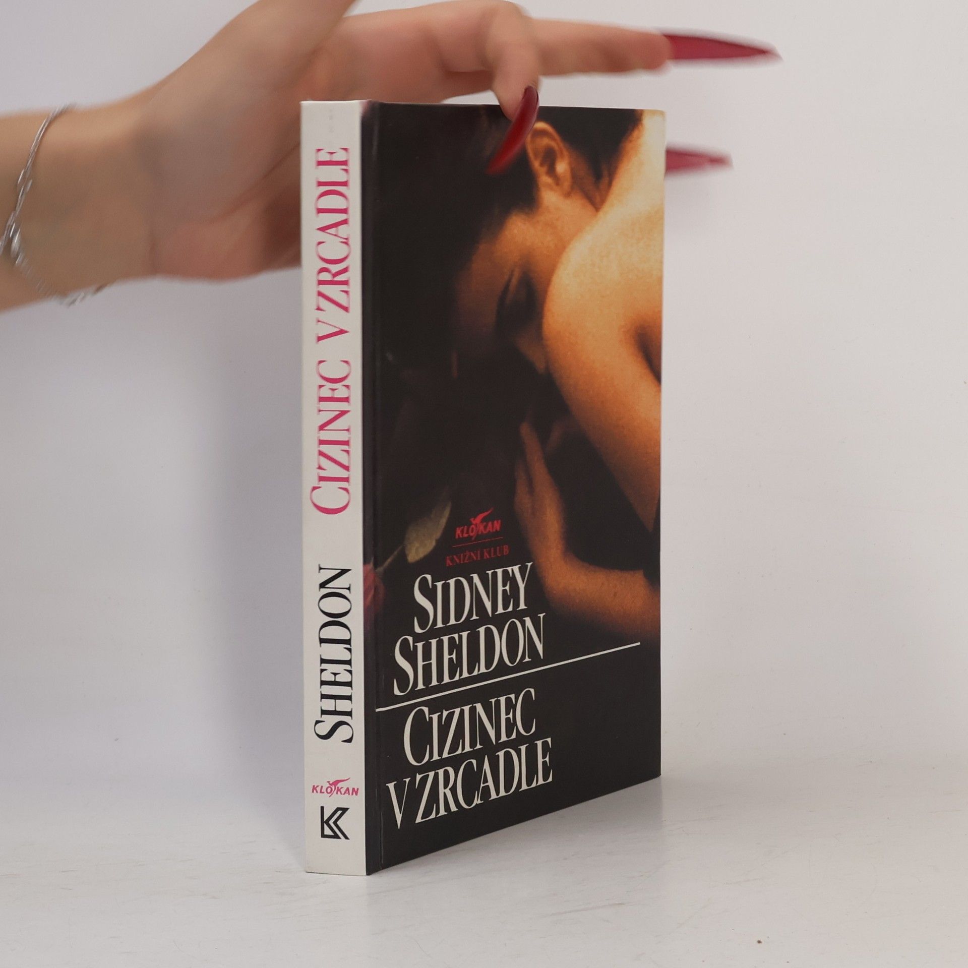 Sidney Sheldon Cizinec v zrcadle