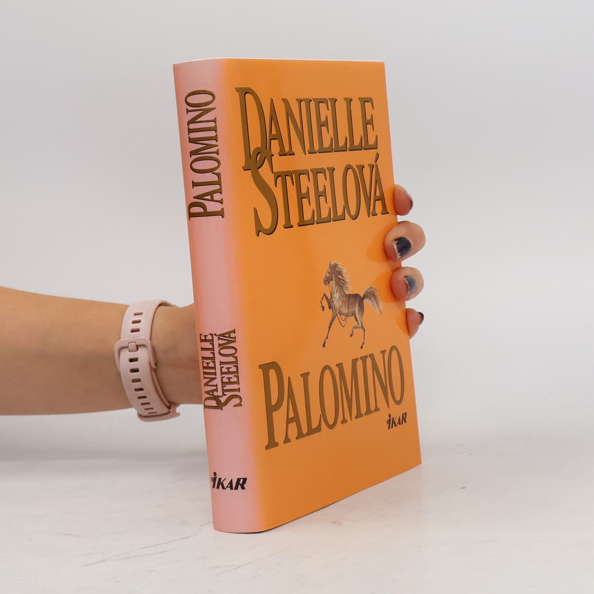 Danielle Steelová Palomino