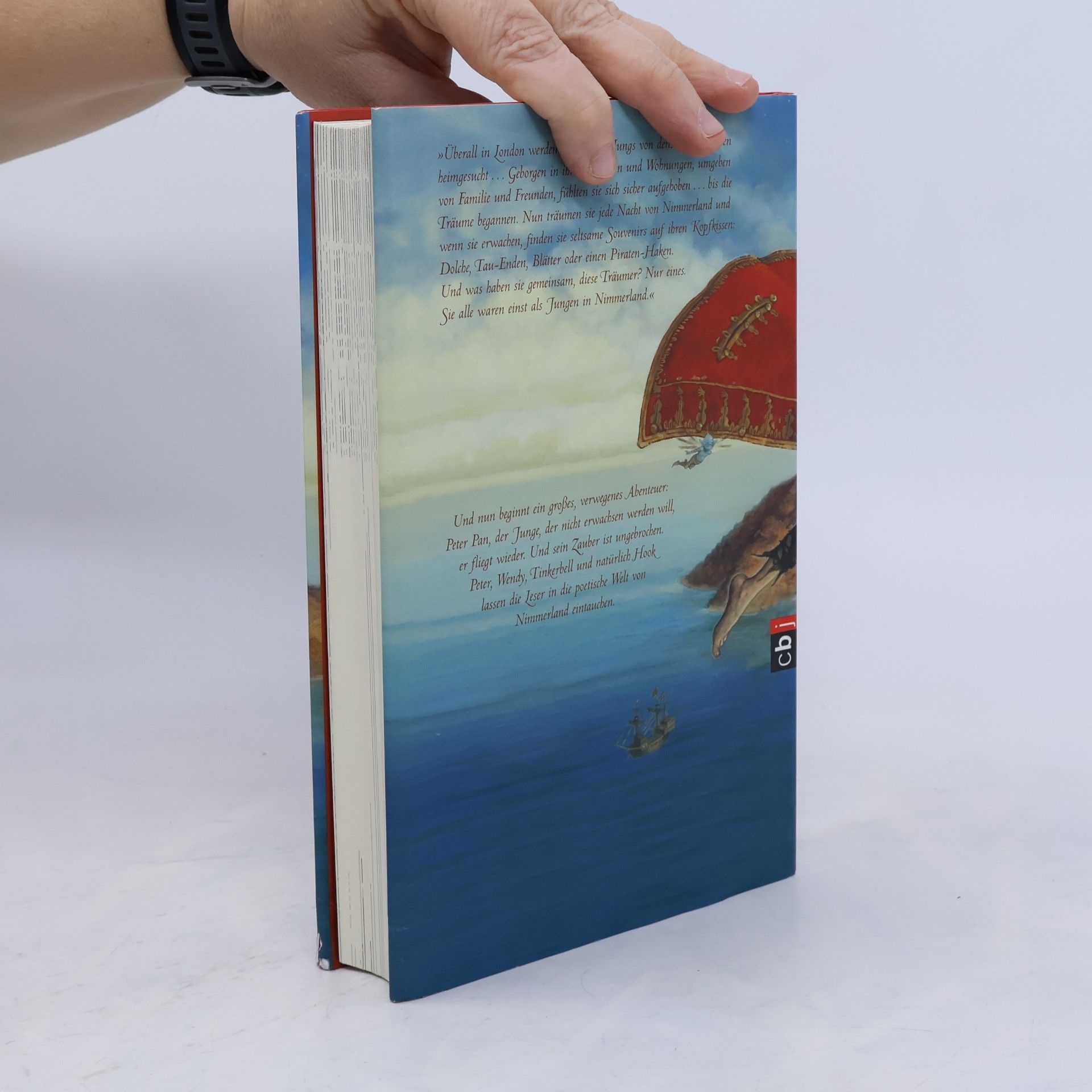 Geraldine McCaughrean Peter Pan und der rote Pirat