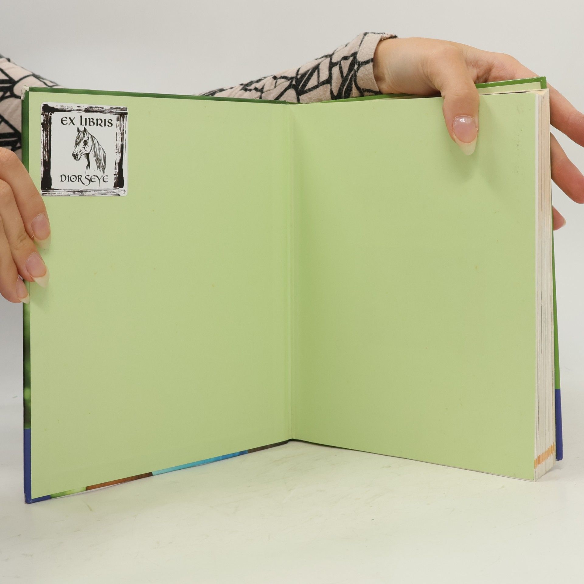 Sibylle Luise Binder Pferde verstehen, erziehen und reiten