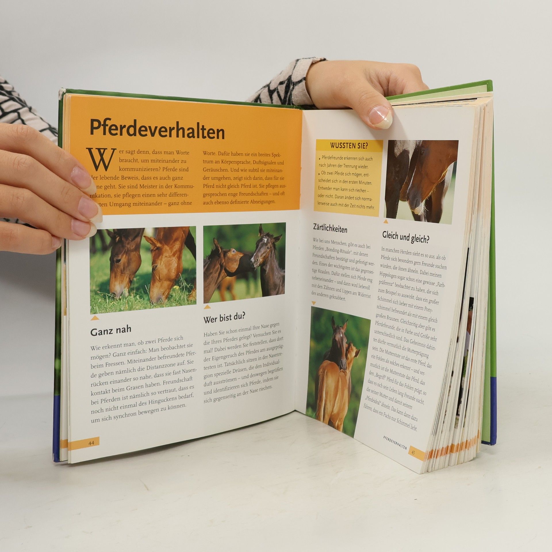 Sibylle Luise Binder Pferde verstehen, erziehen und reiten
