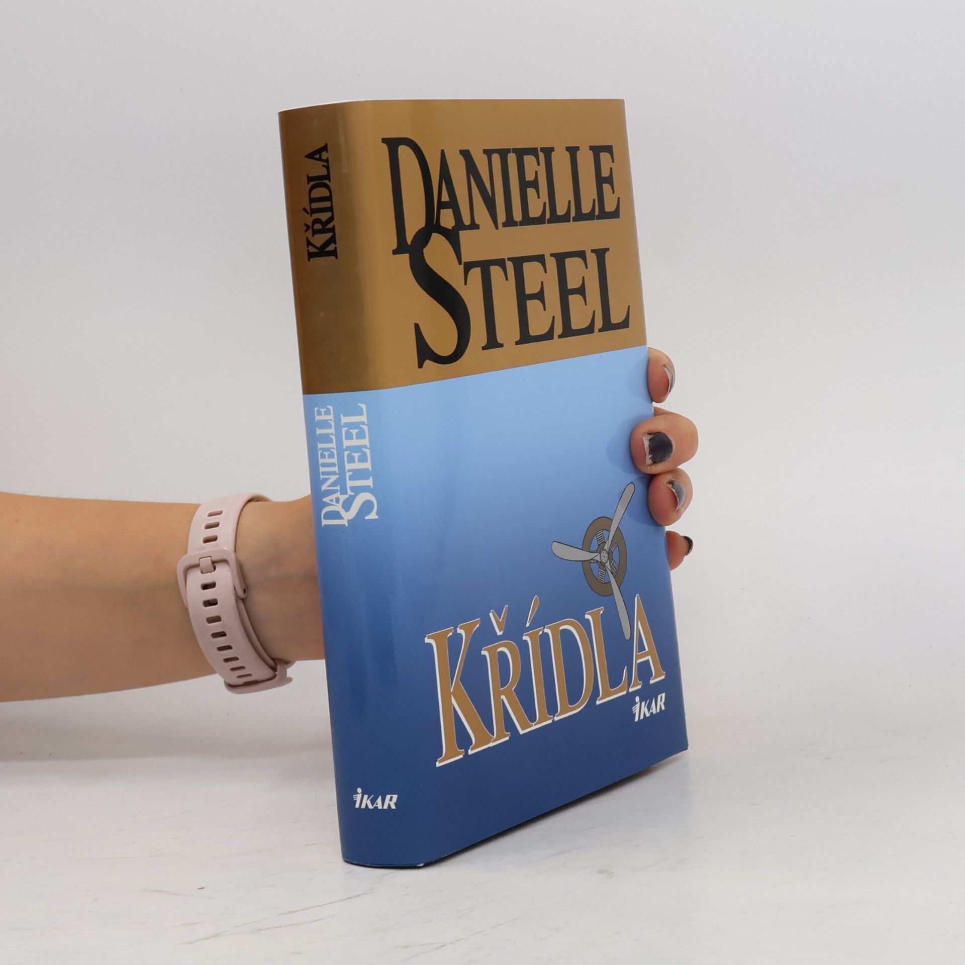 Danielle Steel Křídla