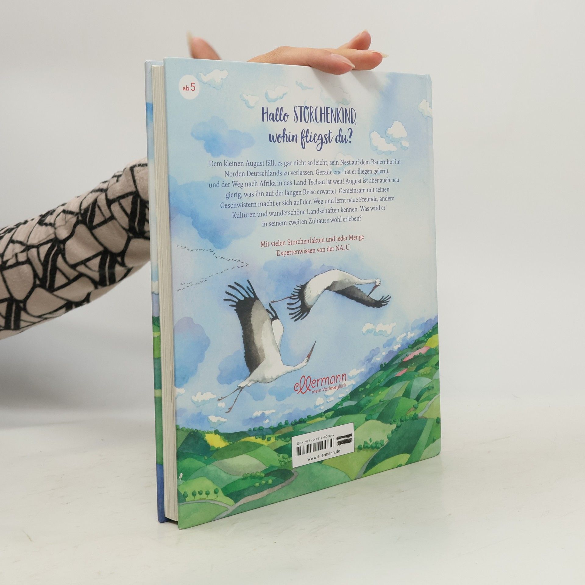 Maren von Klitzing Wohin fliegst du, kleiner Storch?