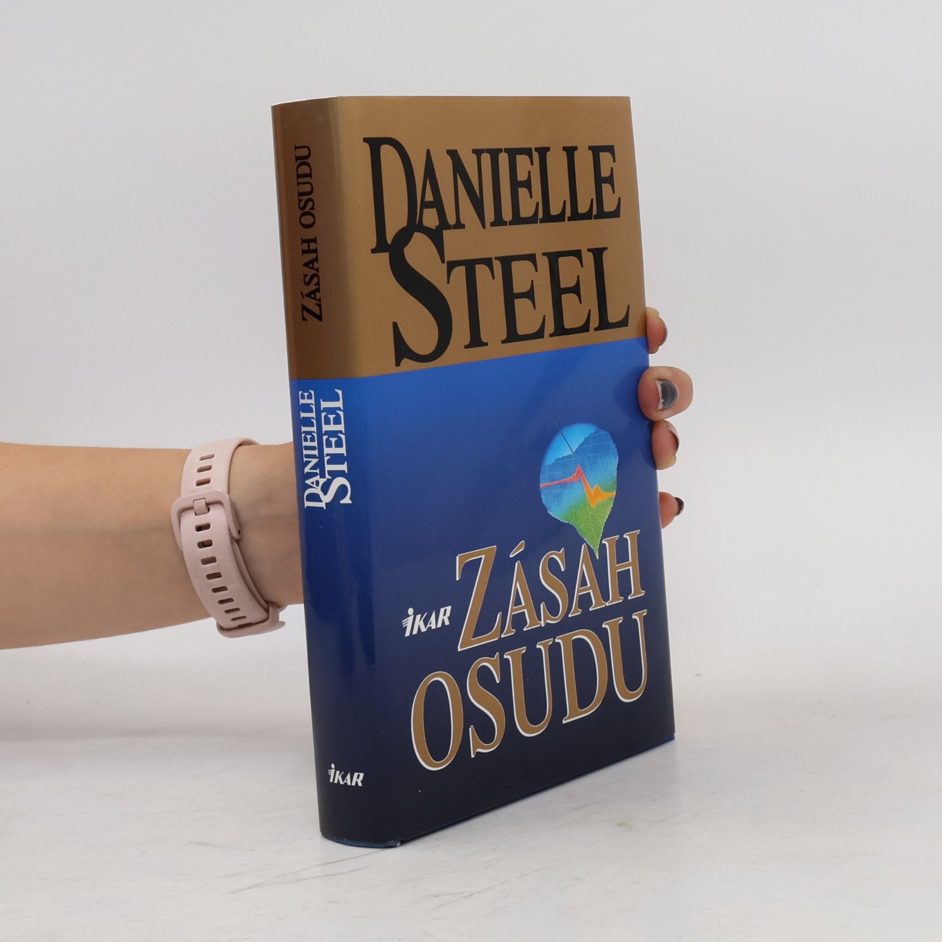 Danielle Steel Zásah osudu