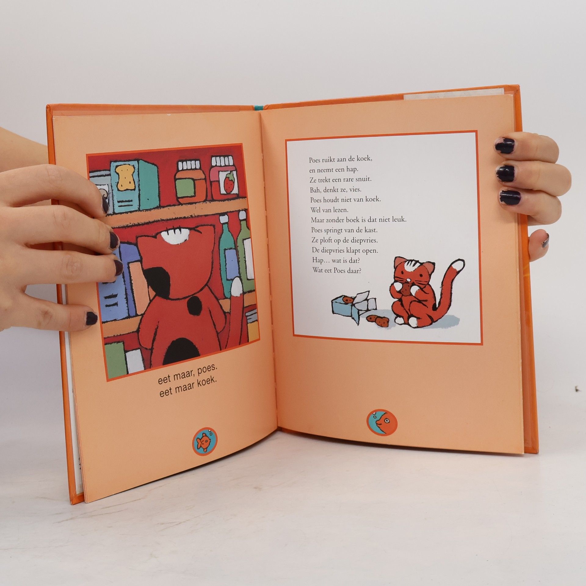 Dirk Nielandt Maan Roos Vis - 3: Poes en het boek