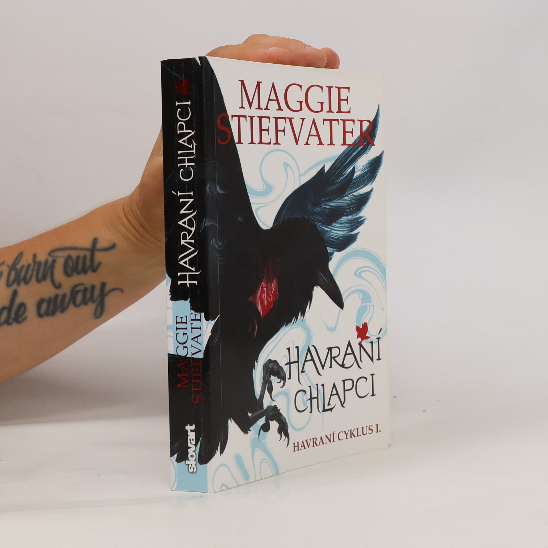 Maggie Stiefvater Havraní chlapci