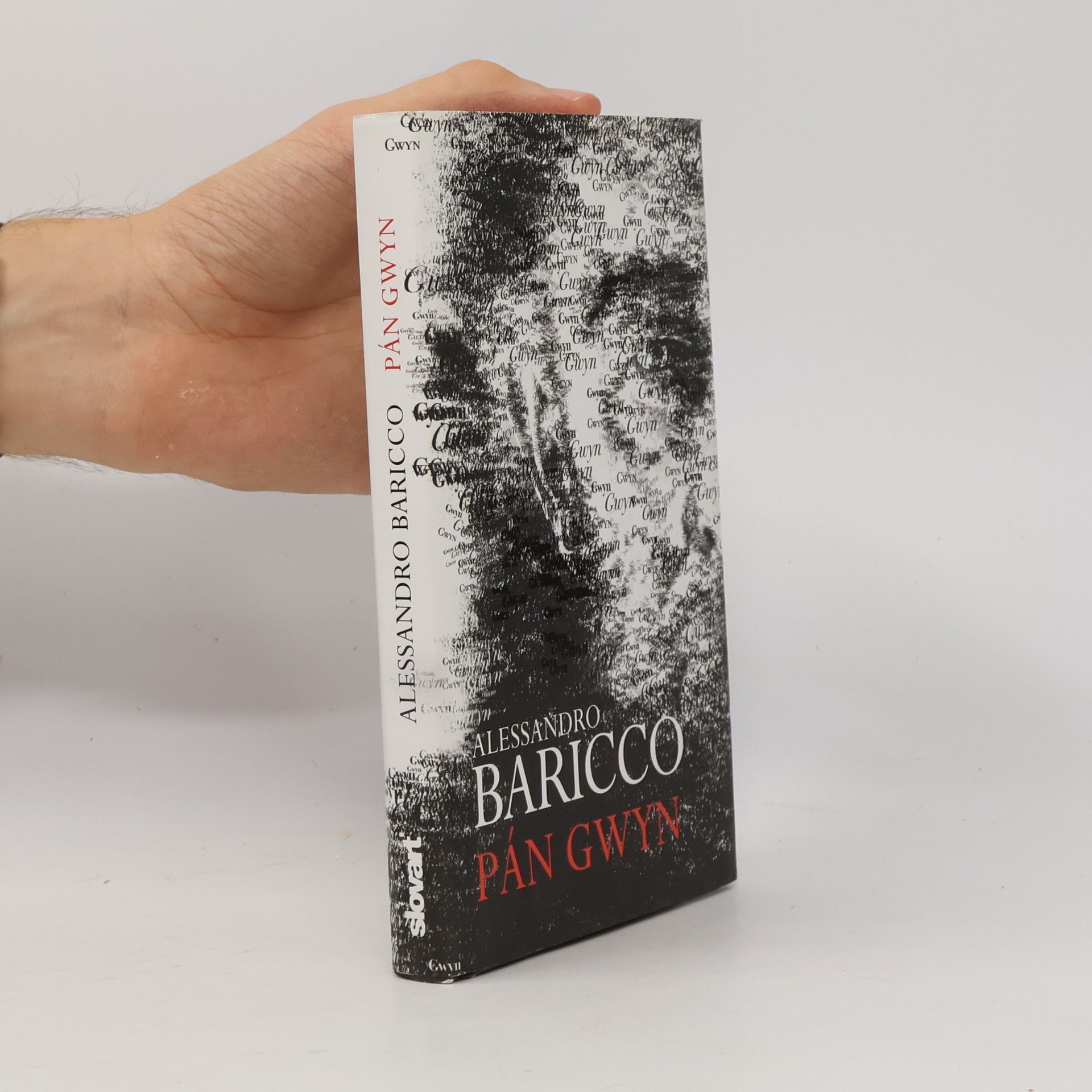 Alessandro Baricco Pán Gwyn