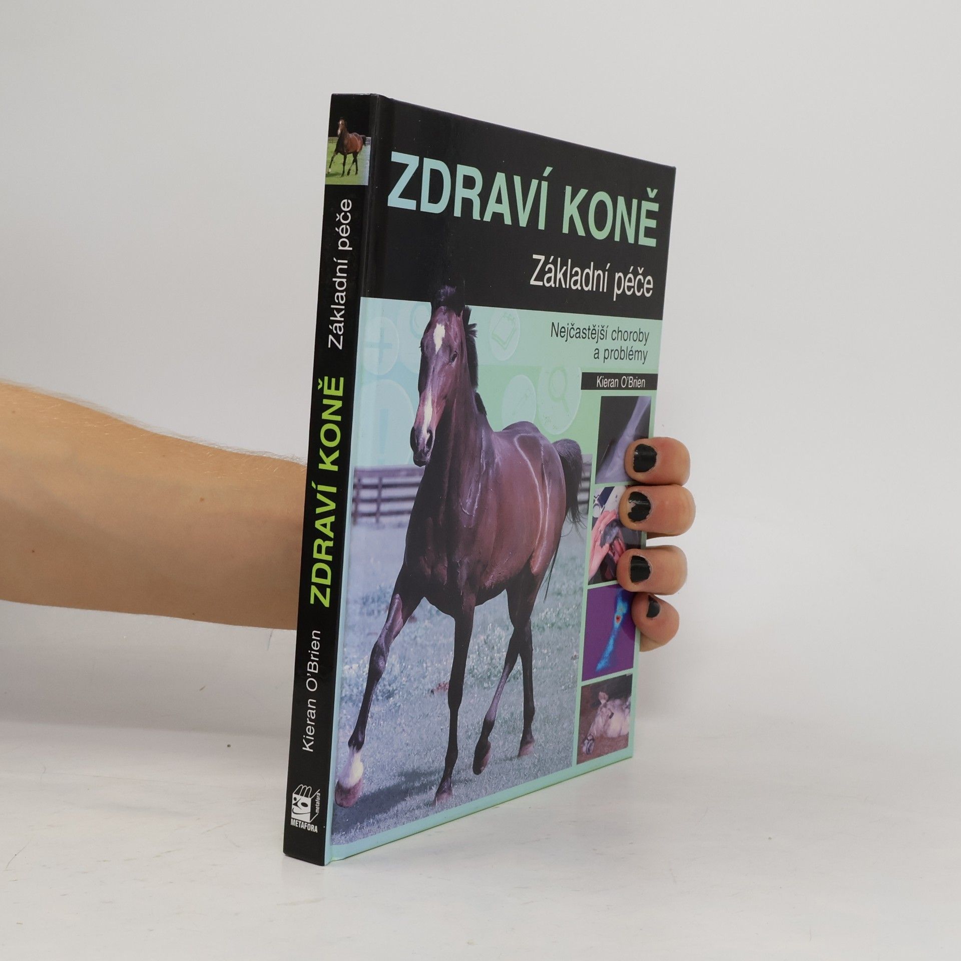 Kieran O. Brien Zdraví koně