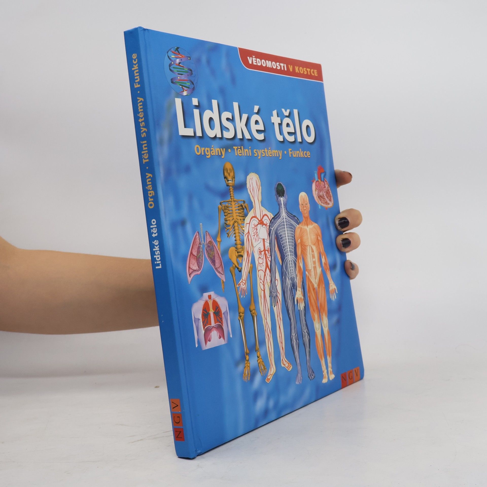 AA.VV. Lidské tělo. Orgány. Tělní systémy. Funkce