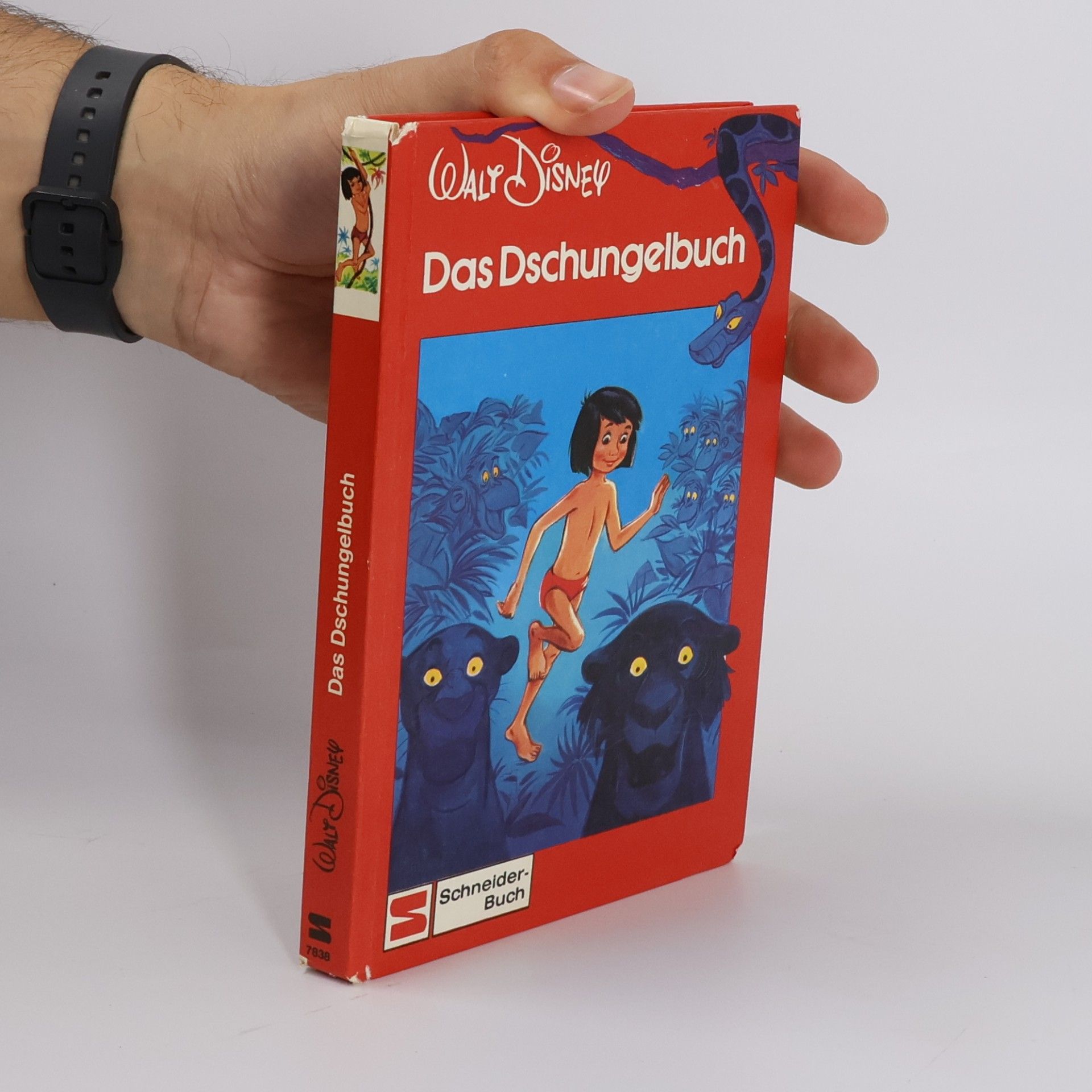 AA.VV. Walt Disney: Das Dschungelbuch
