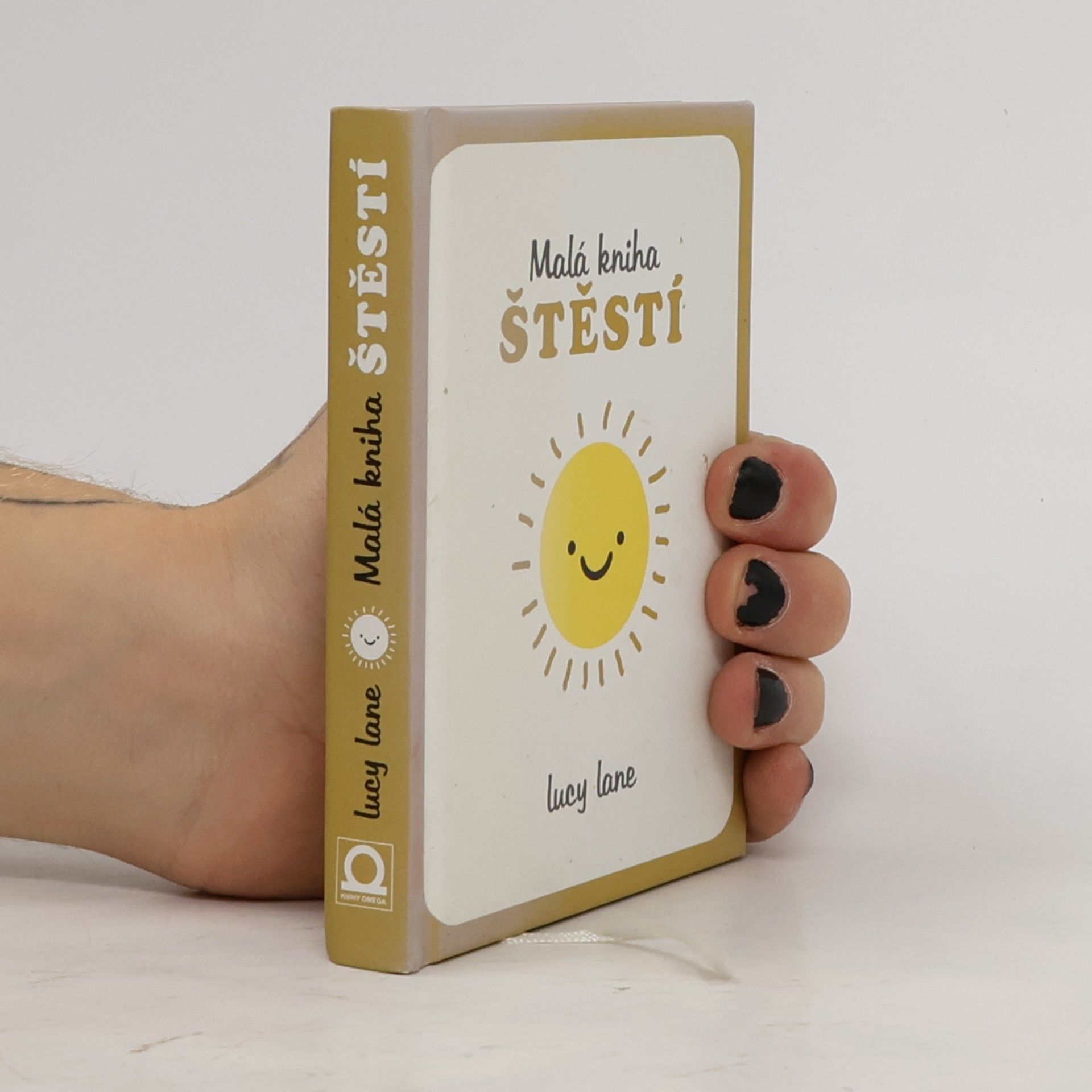 Malá kniha štěstí