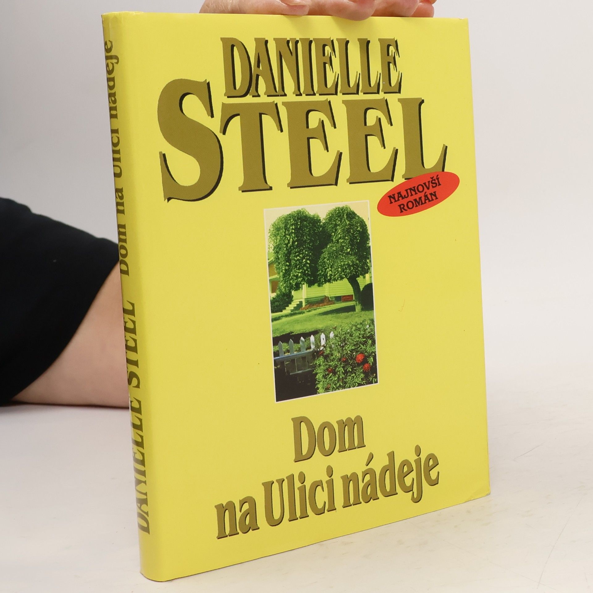 Danielle Steel Dom na Ulici nádeje