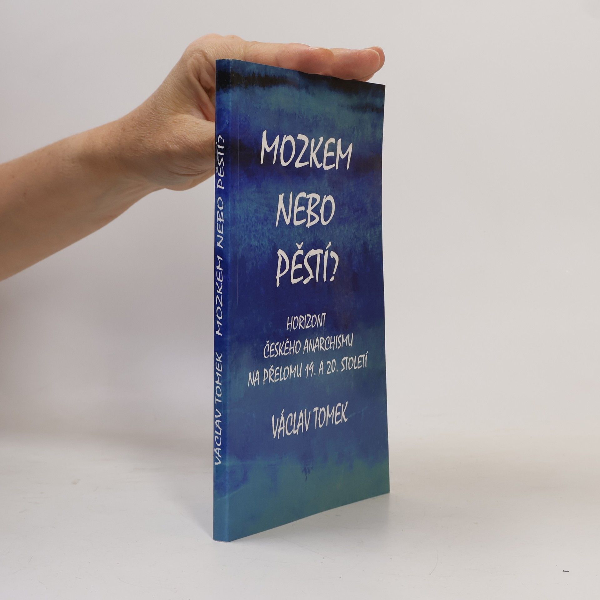 Mozkem nebo pěstí? Horizont českého anarchismu na přelomu 19. a 20. století