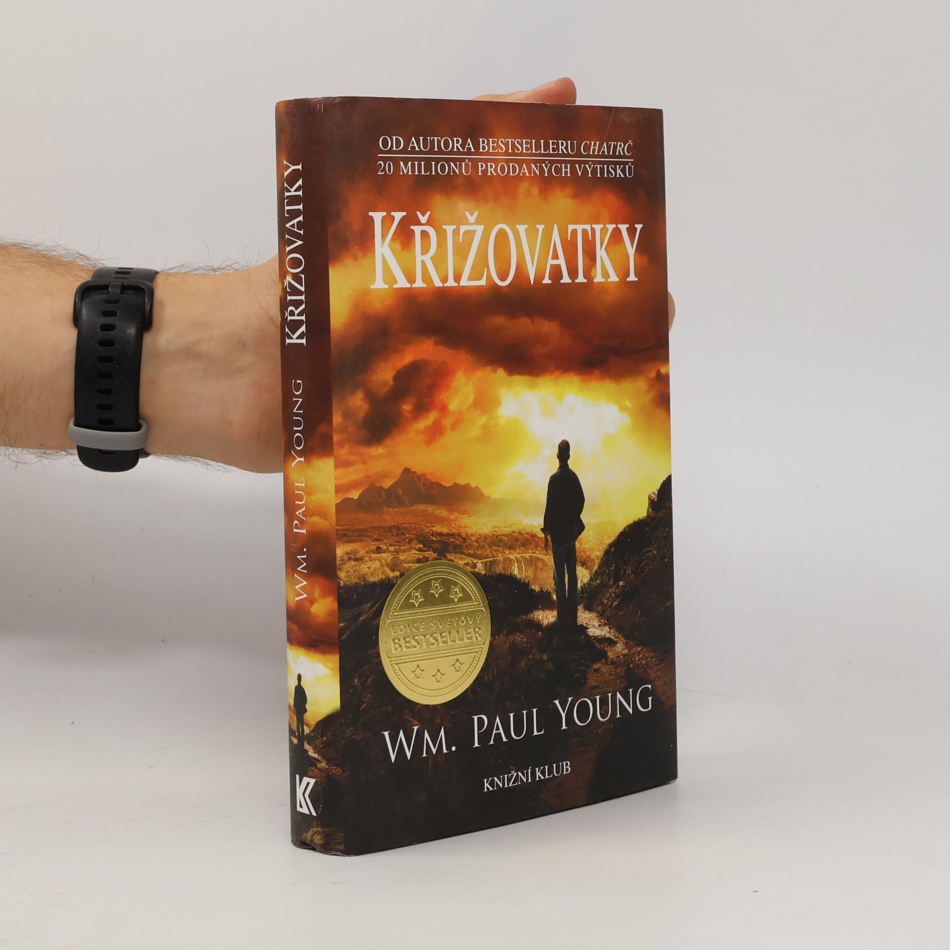 William Paul Young Křižovatky