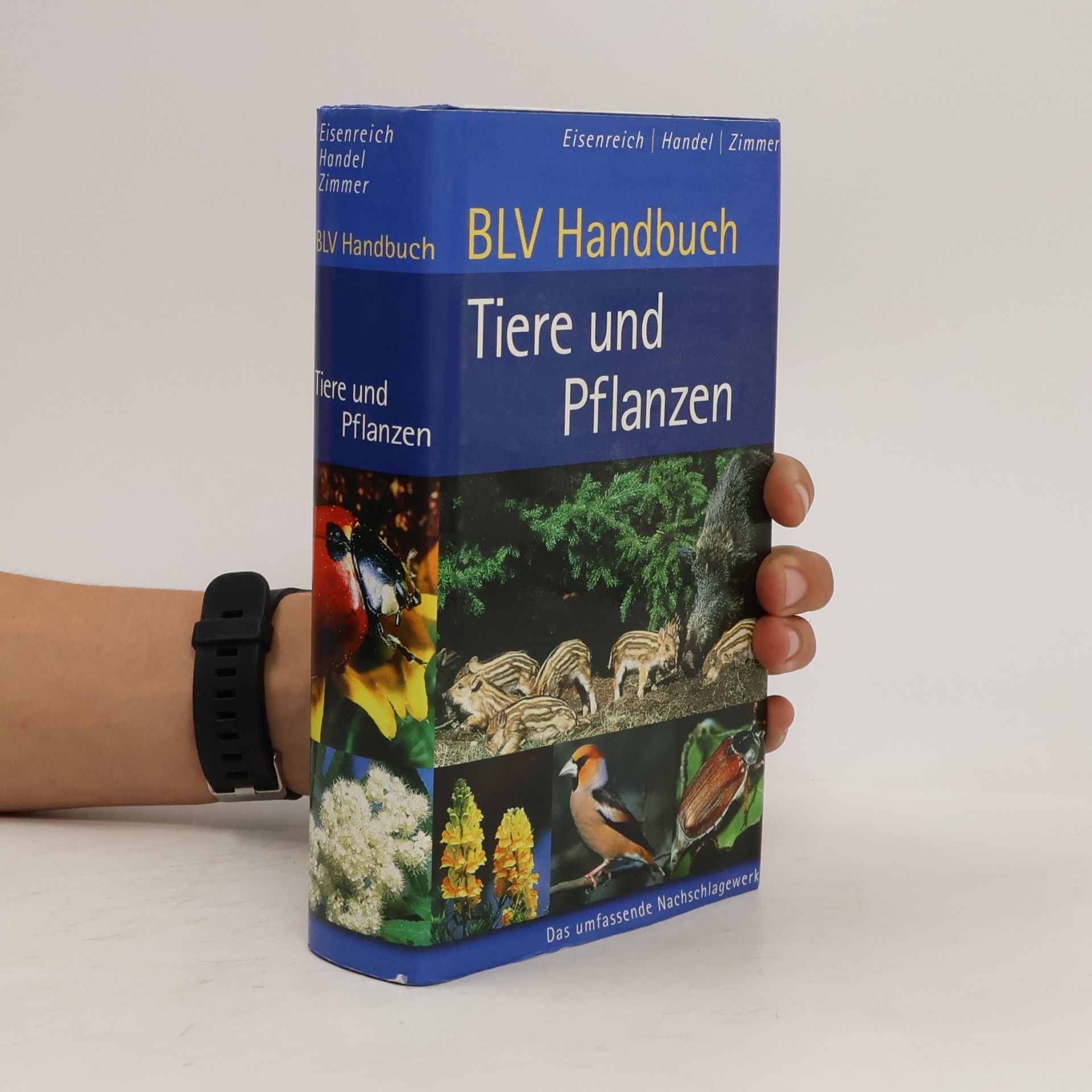 Wilhelm Eisenreich BLV-Handbuch Tiere und Pflanzen