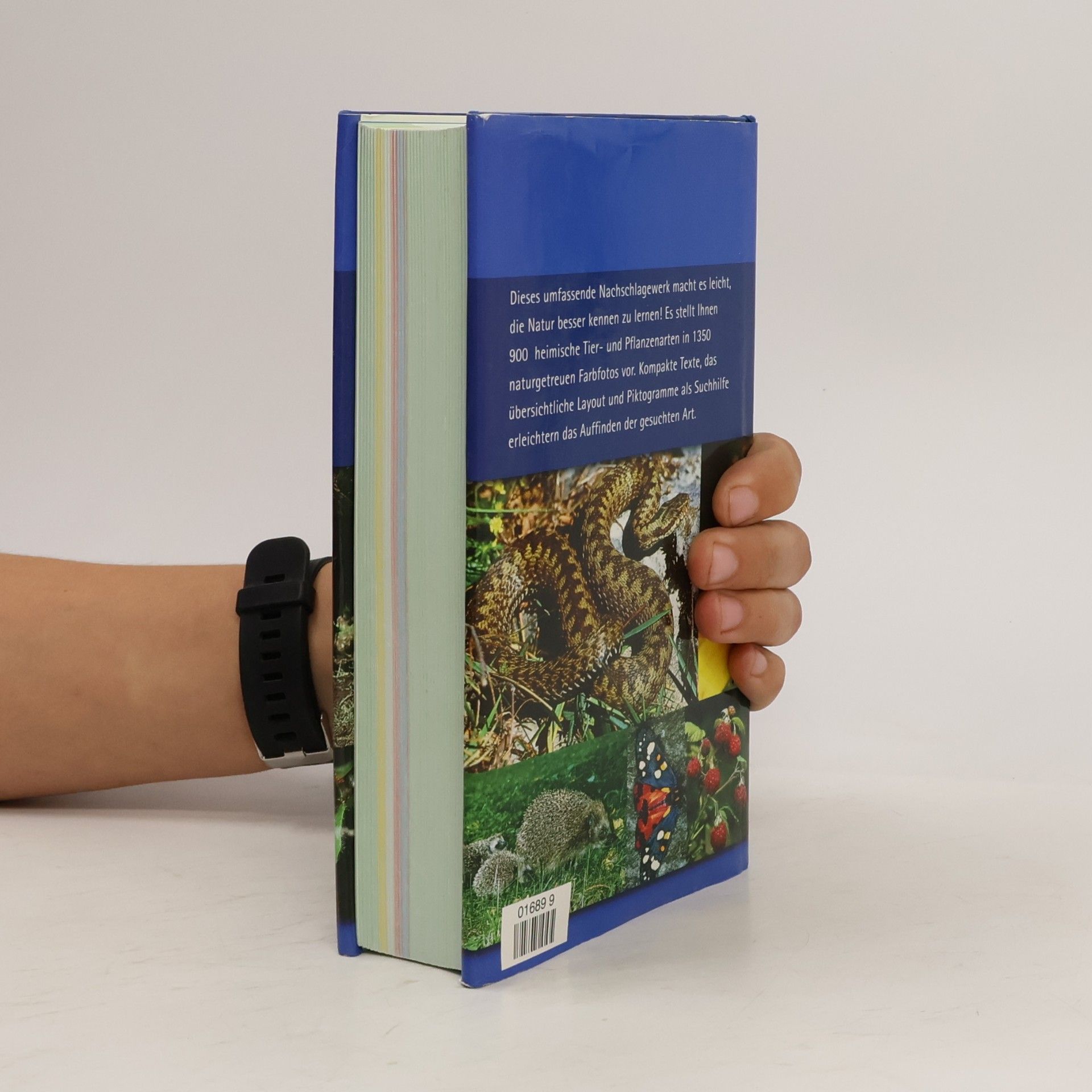 Wilhelm Eisenreich BLV-Handbuch Tiere und Pflanzen