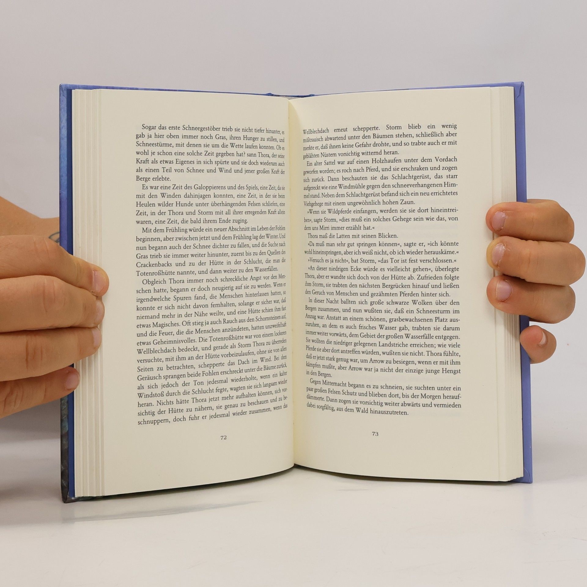 Elyne Mitchell Der silberne Hengst