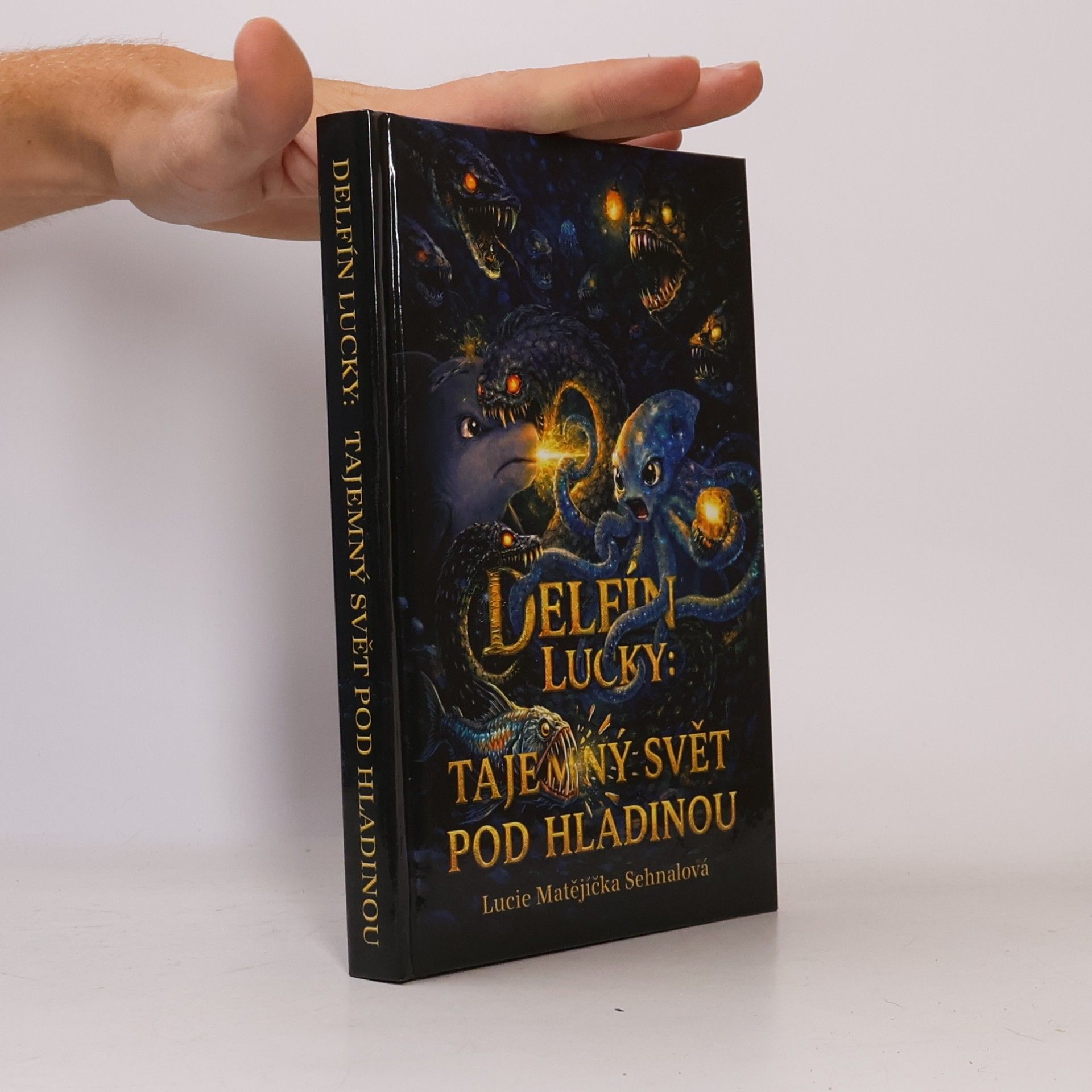 Lucie Matějíčka Sehnalová Delfín Lucky: Tajemný svět pod hladinou