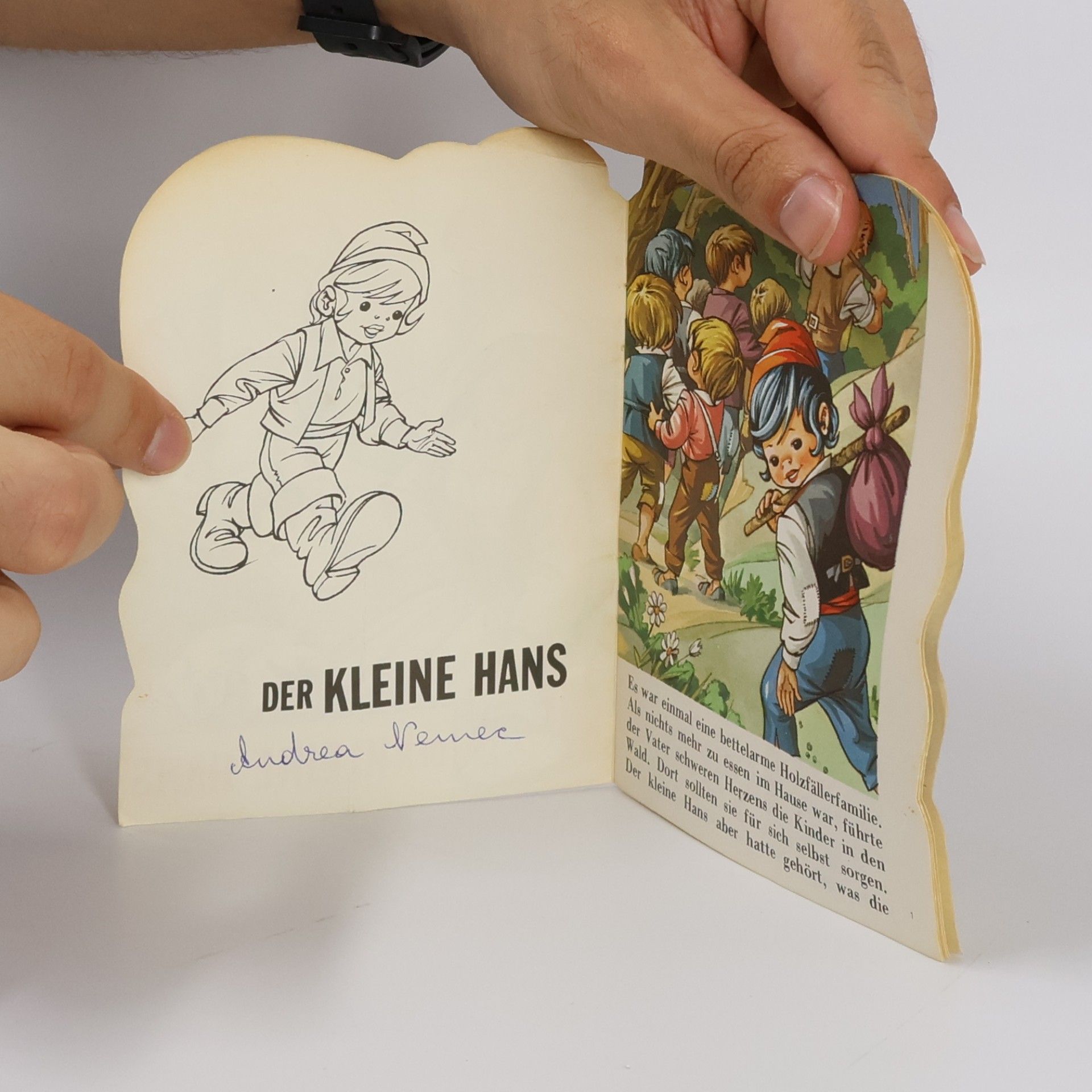 Autorenkollektiv Der kleine Hans