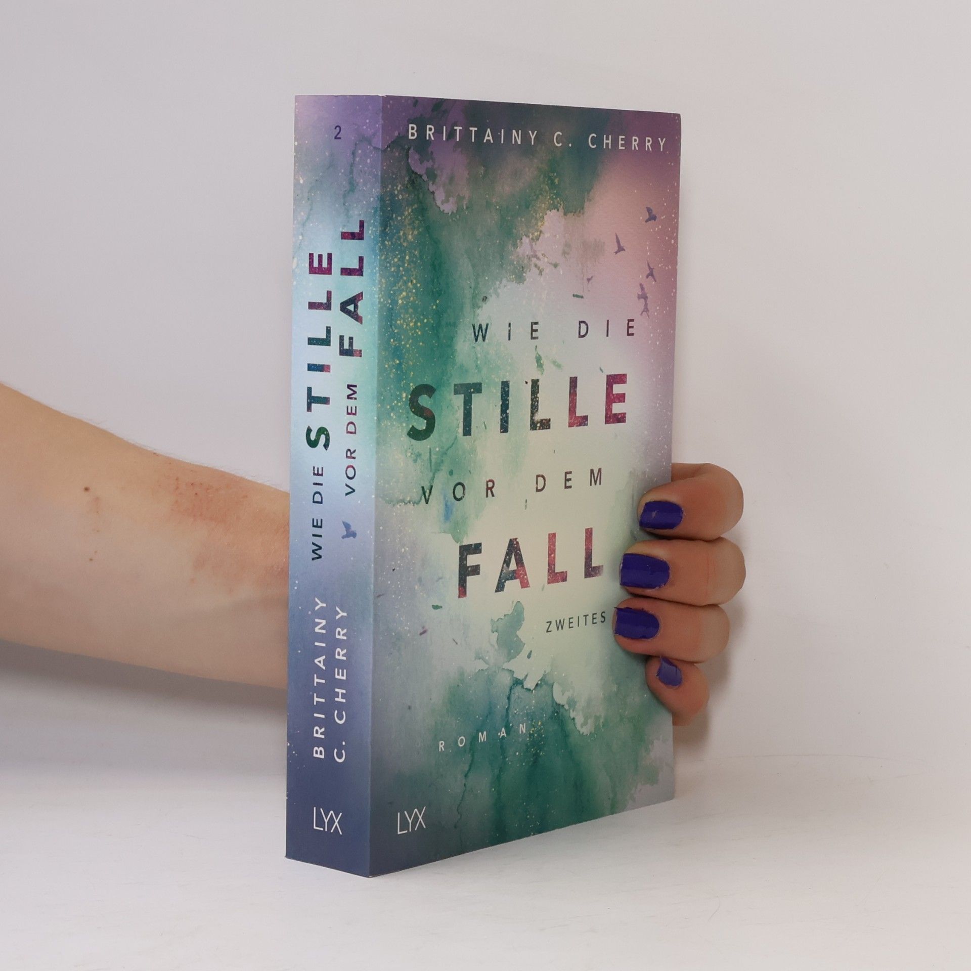 Brittainy C. Cherry Wie die Stille vor dem Fall 2