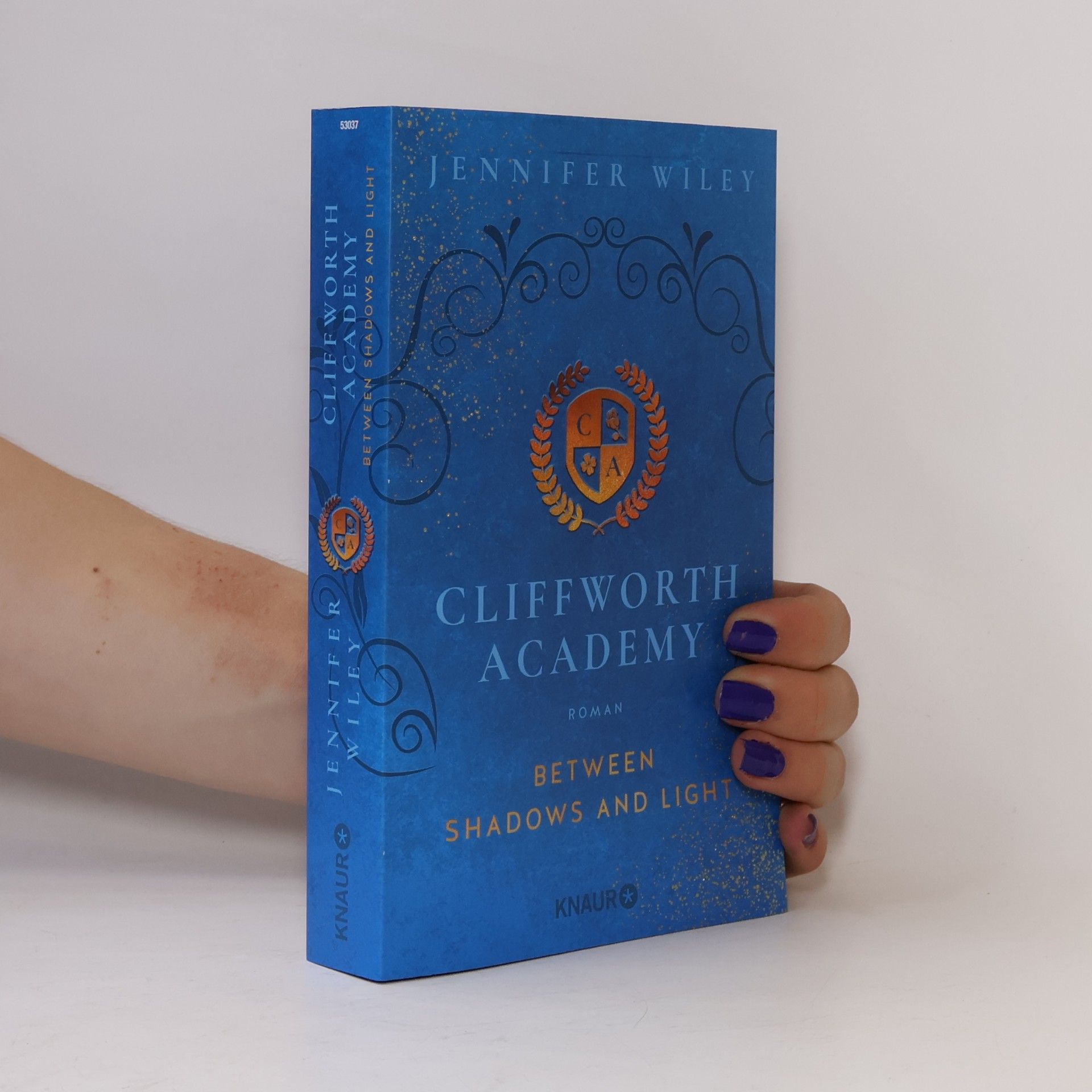 Cliffworth Academy. Between Shadows and Light