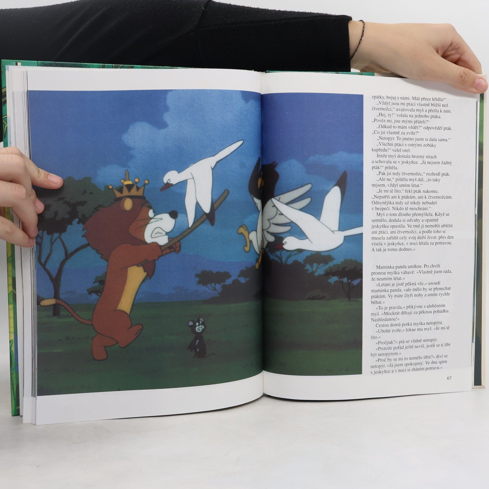 Autorenkollektiv Tao Tao. Medvídek panda