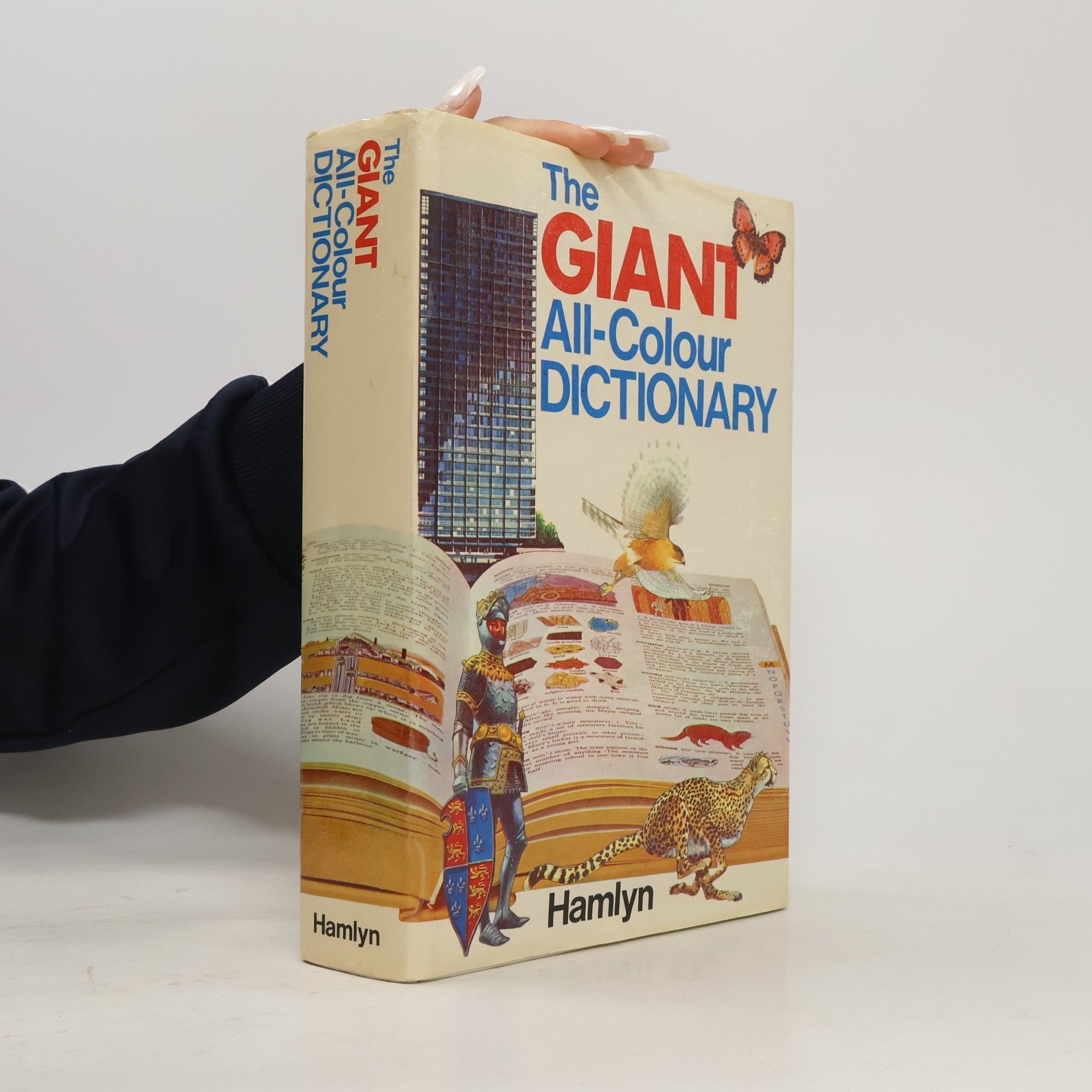 Stuart A. Courtis Giant All Colour Dictionary