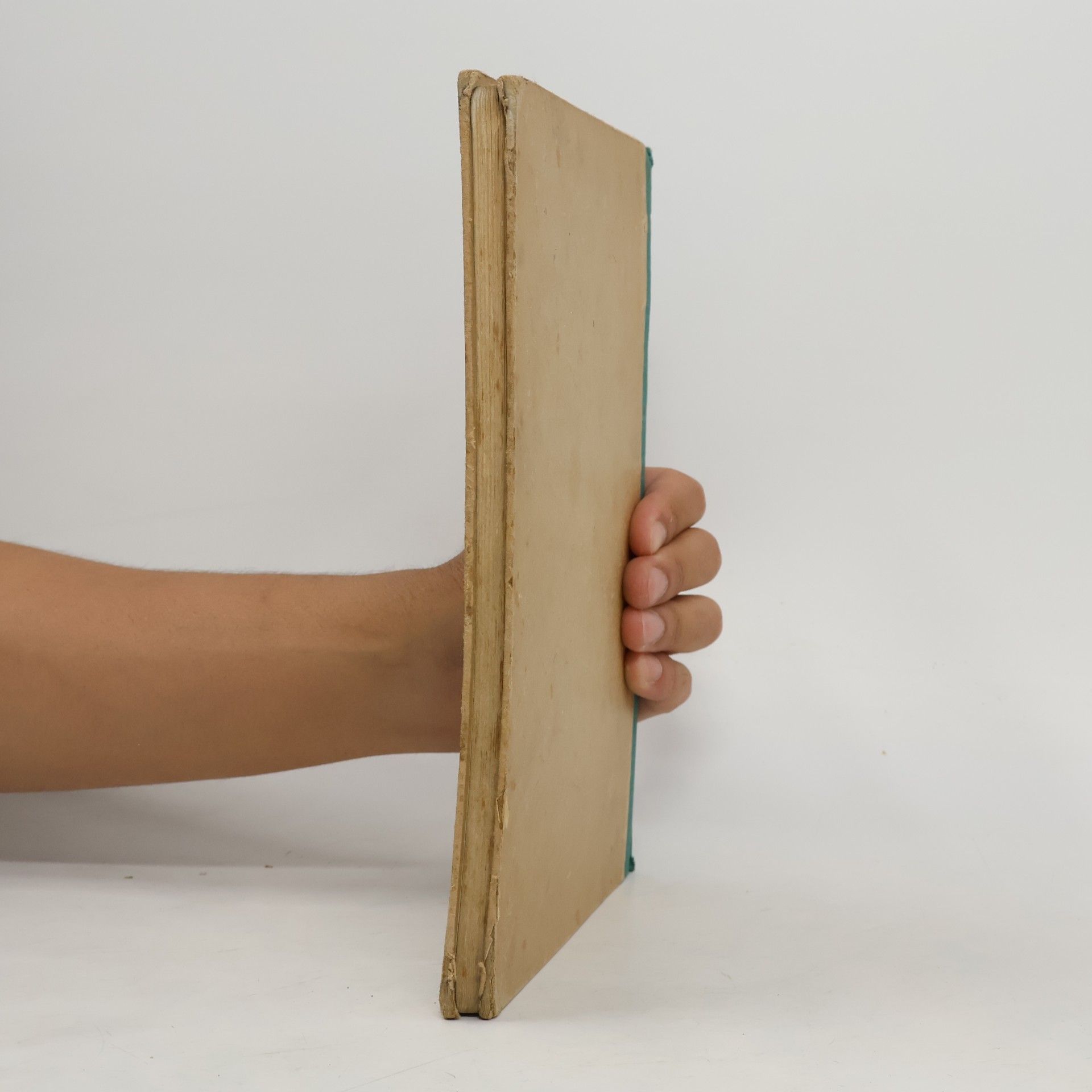 C. Berg Schlupps, der Handwerksbursch