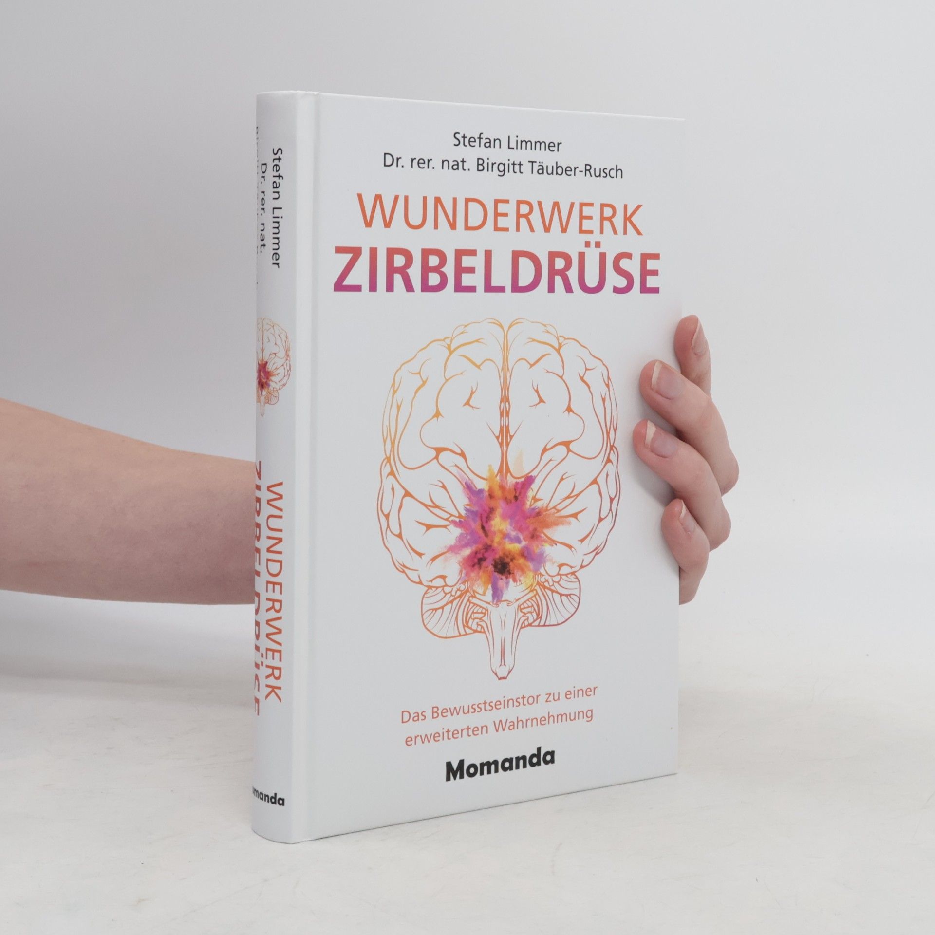 Wunderwerk Zirbeldrüse
