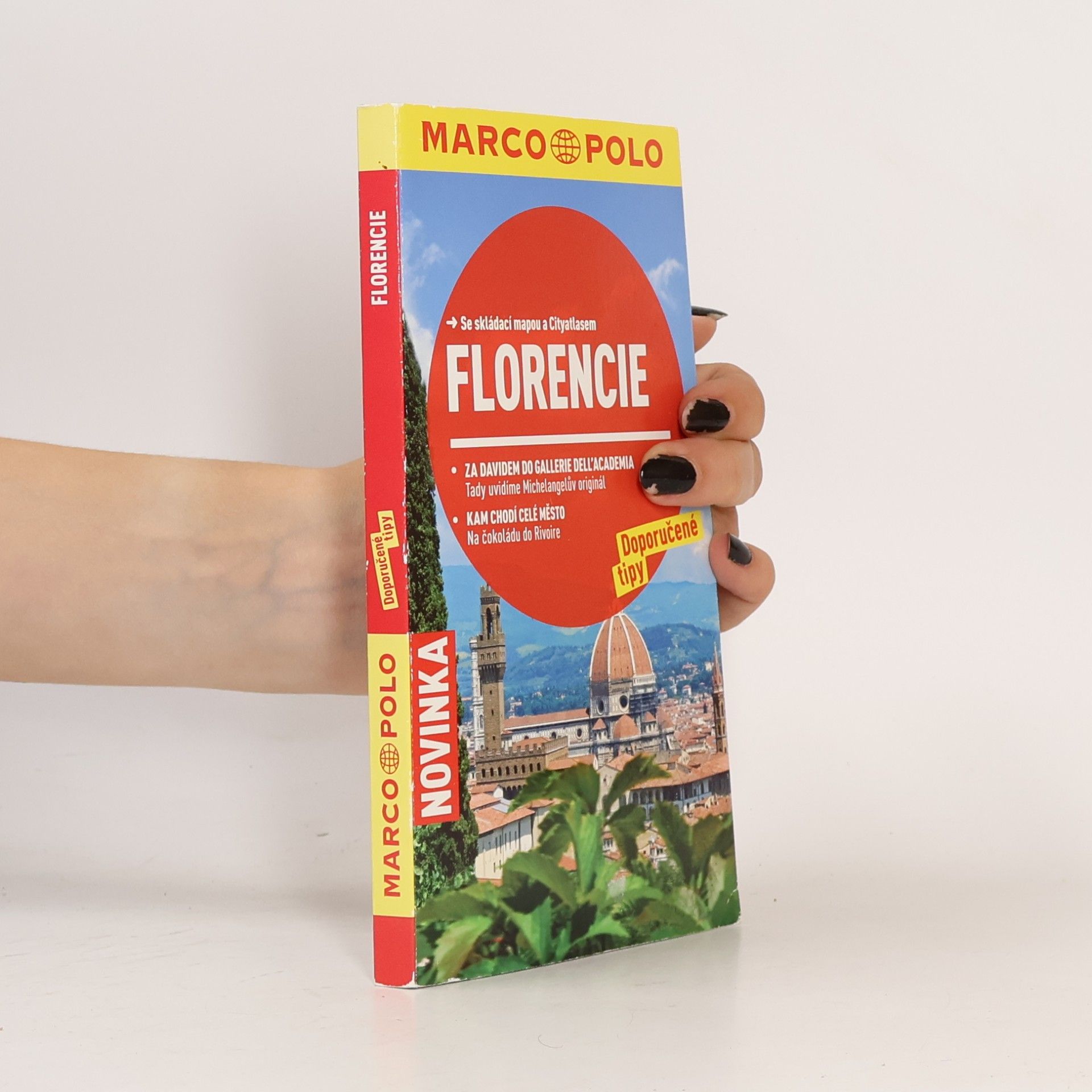 Collectif d'auteurs Florencie
