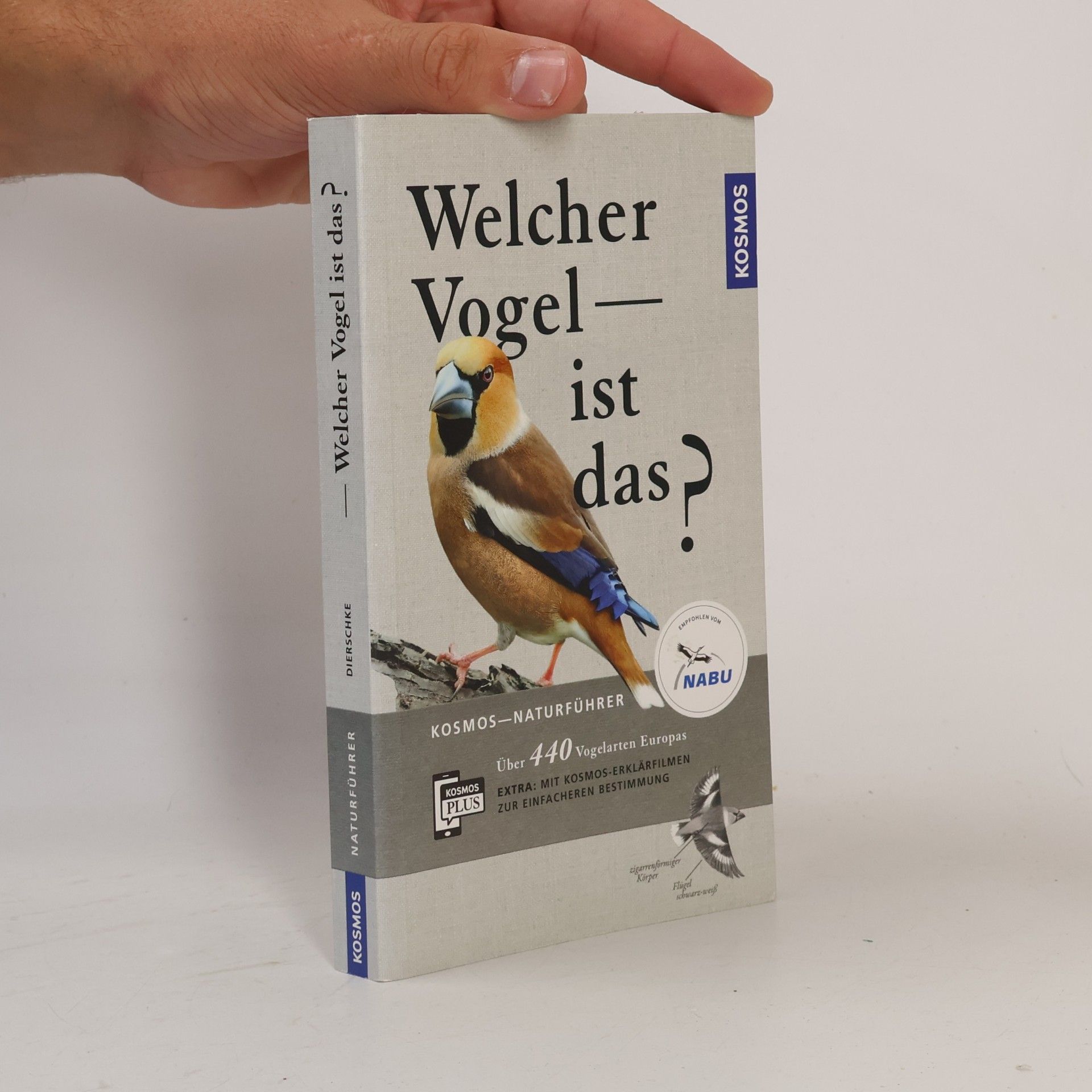 Welcher Vogel ist das?