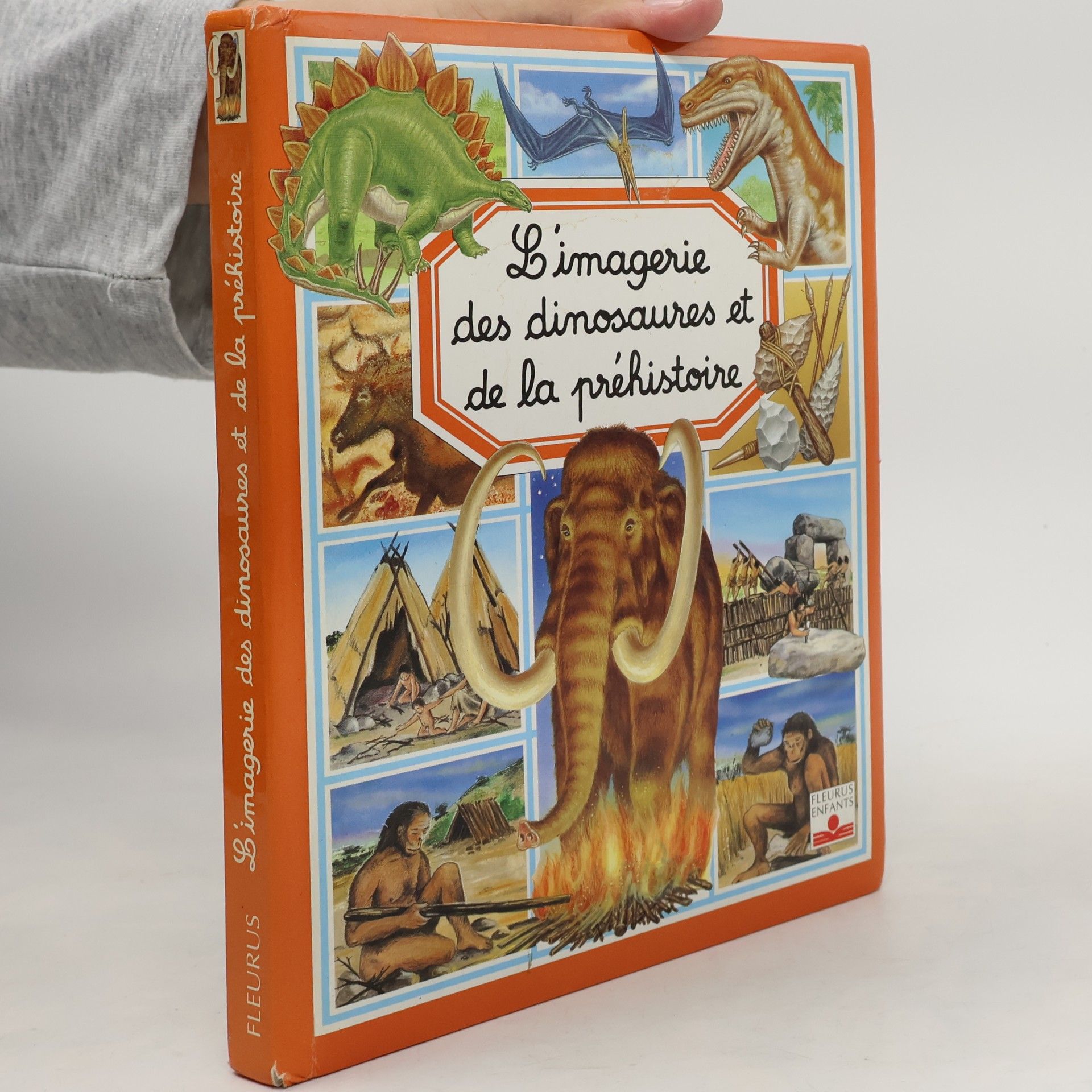 L'Imagerie des dinosaures et de la préhistoire