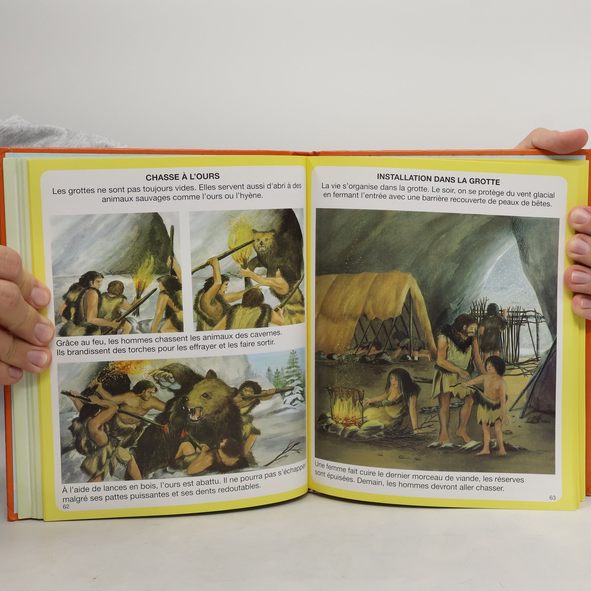 Emilie Beaumont L'Imagerie des dinosaures et de la préhistoire