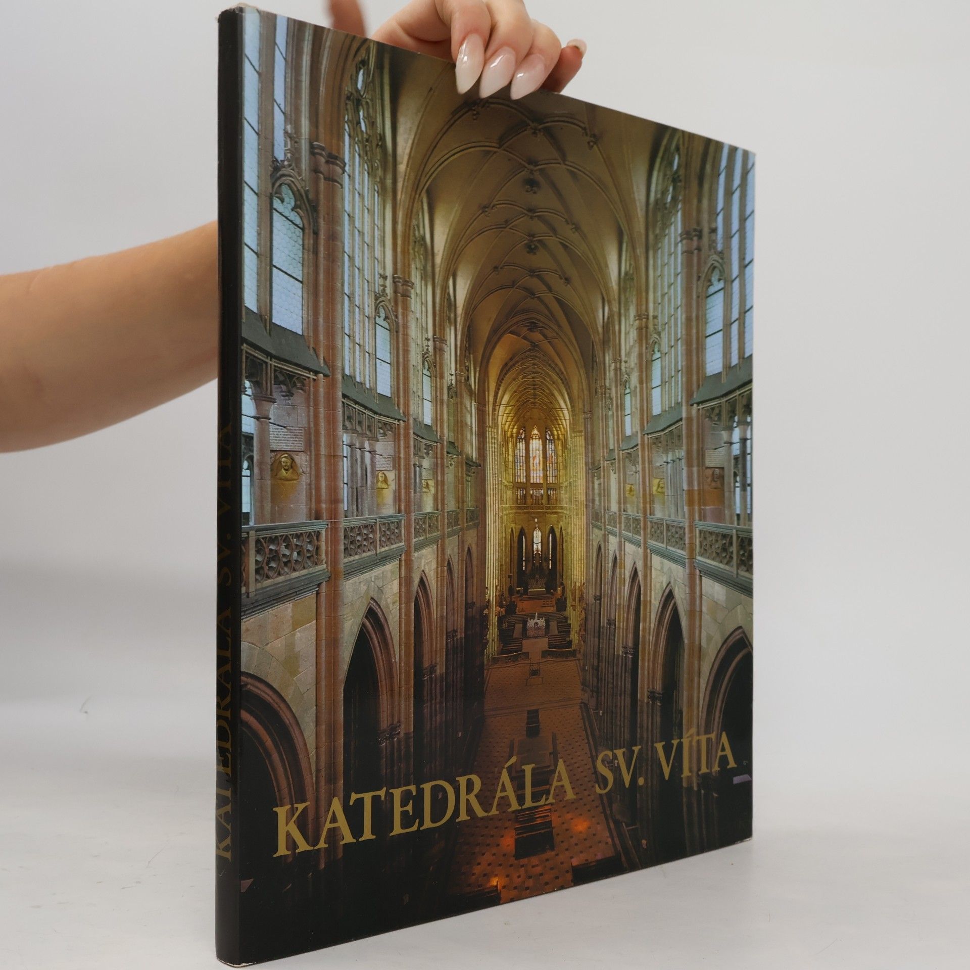 Jiří Burian Katedrála sv. Víta na Pražském hradě
