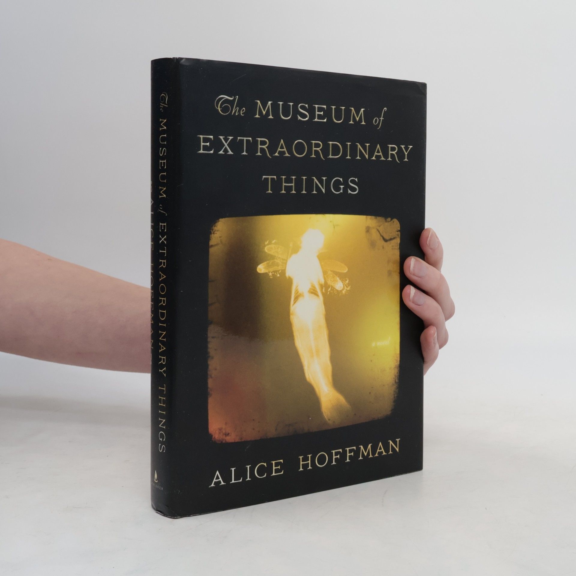 Alice Hoffmann The Museum of Extraordinary Things
