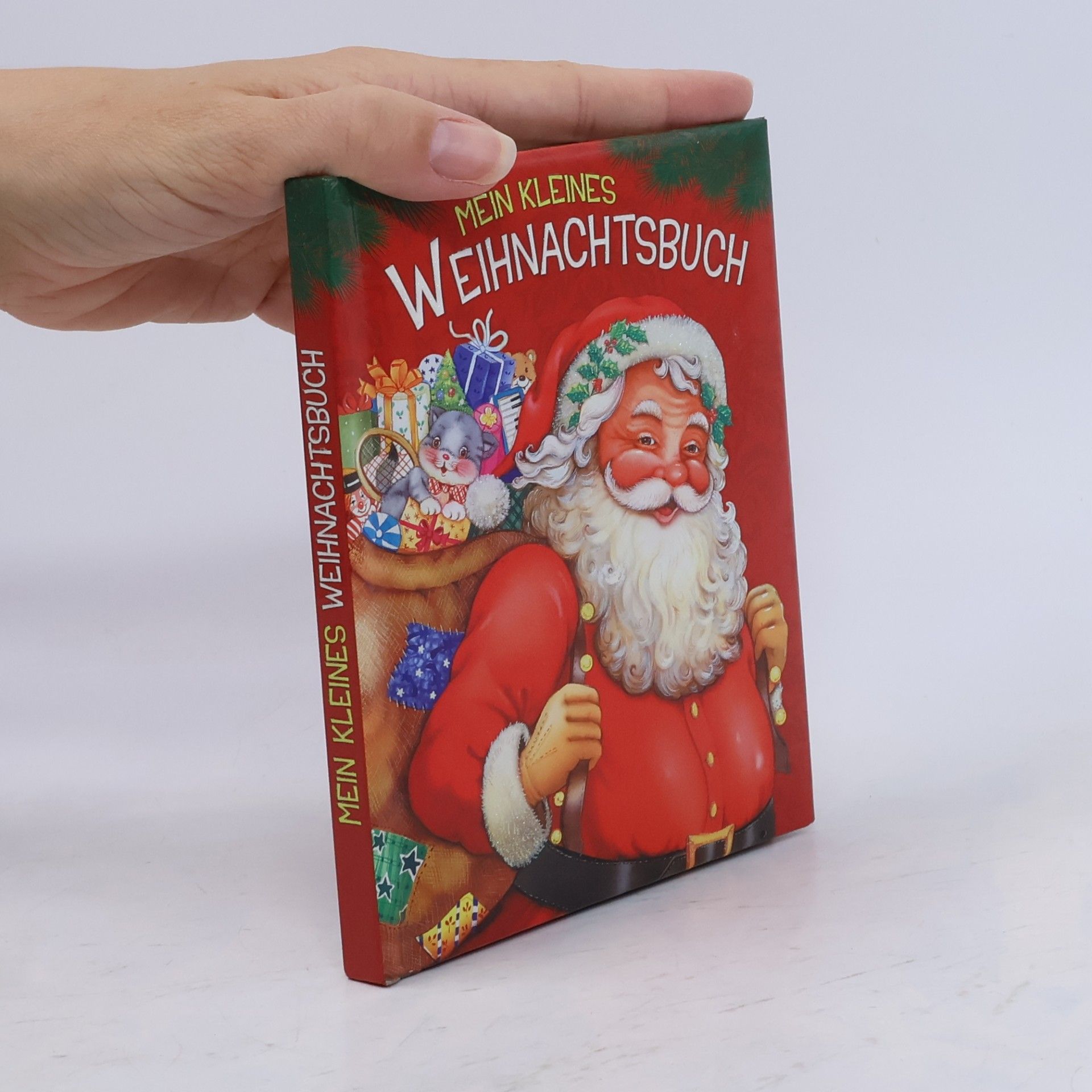 Autorenkollektiv Mein kleines Weihnachtsbuch