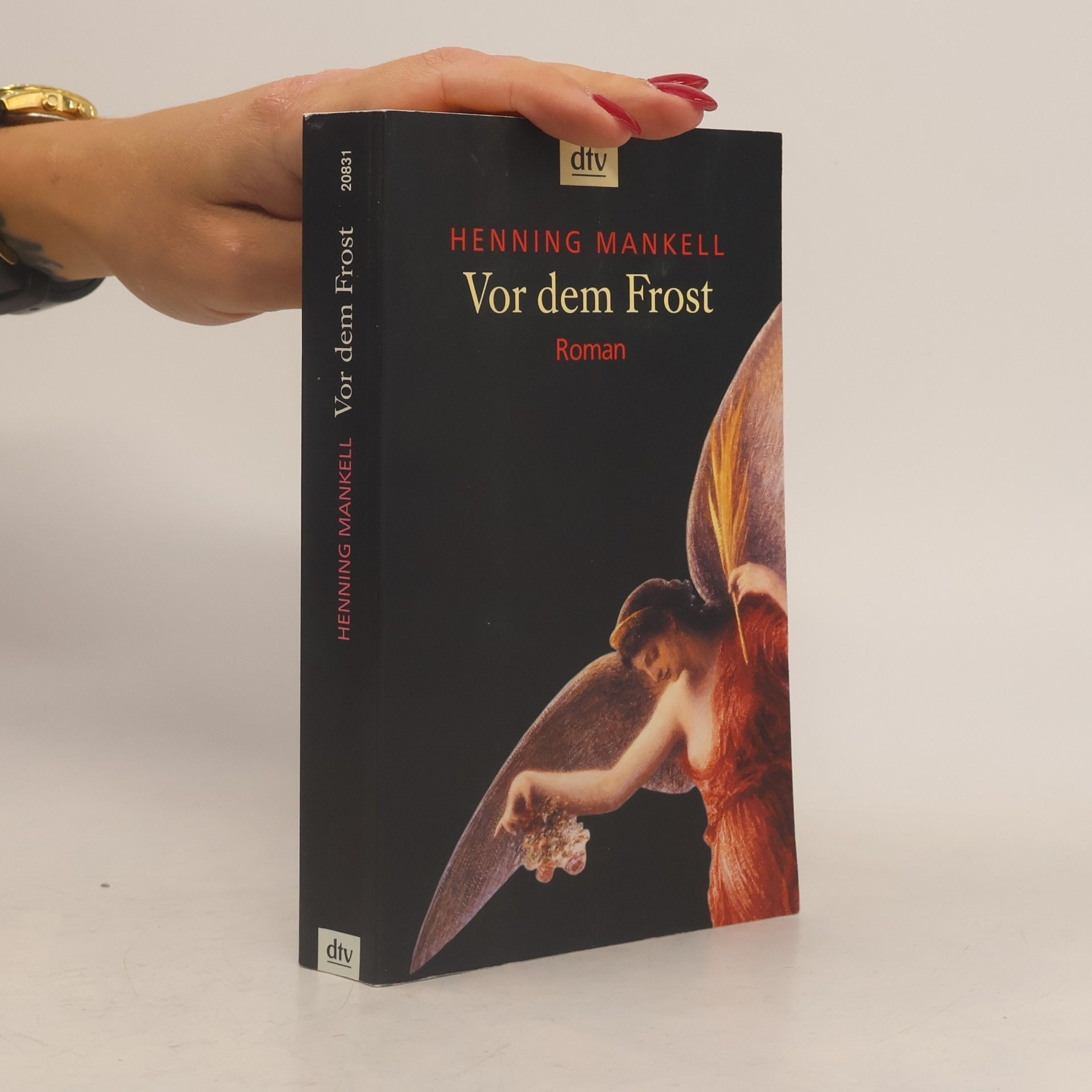 Henning Mankell Vor dem Frost