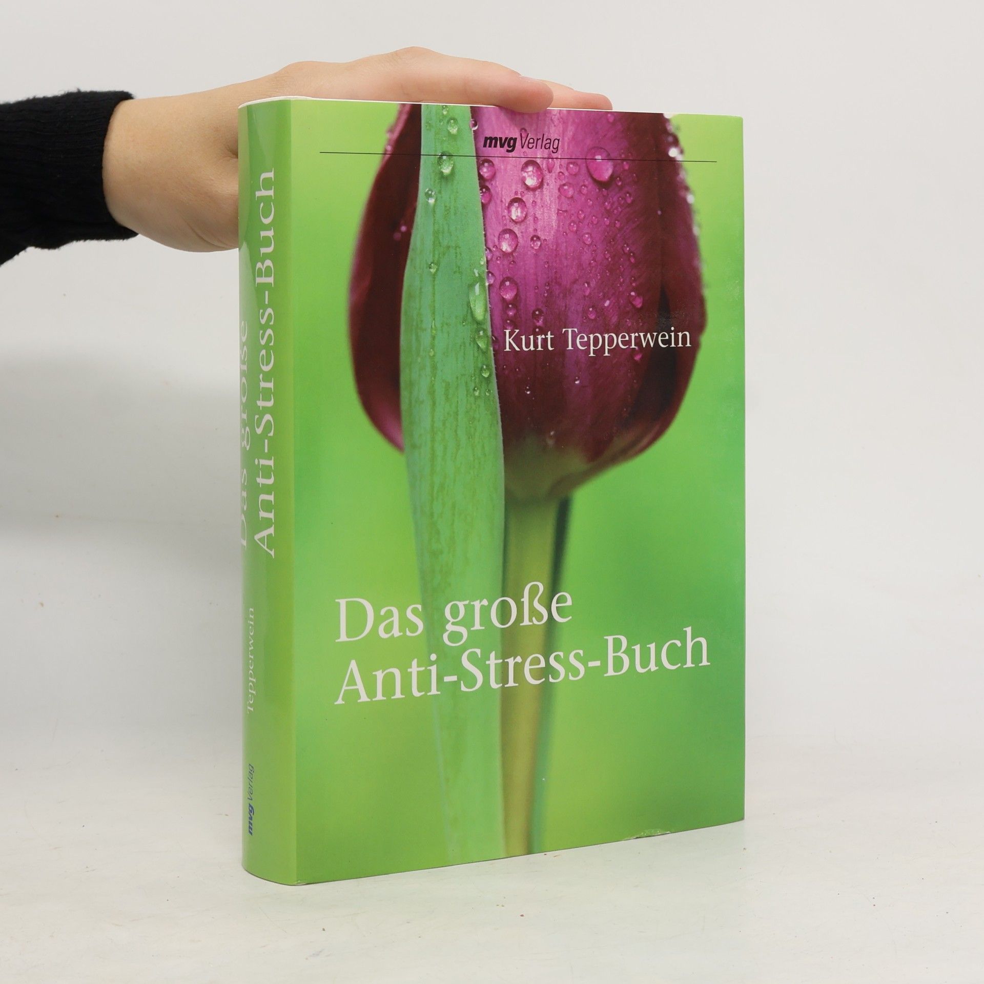 Kurt Tepperwein Das große Anti-Stress-Buch
