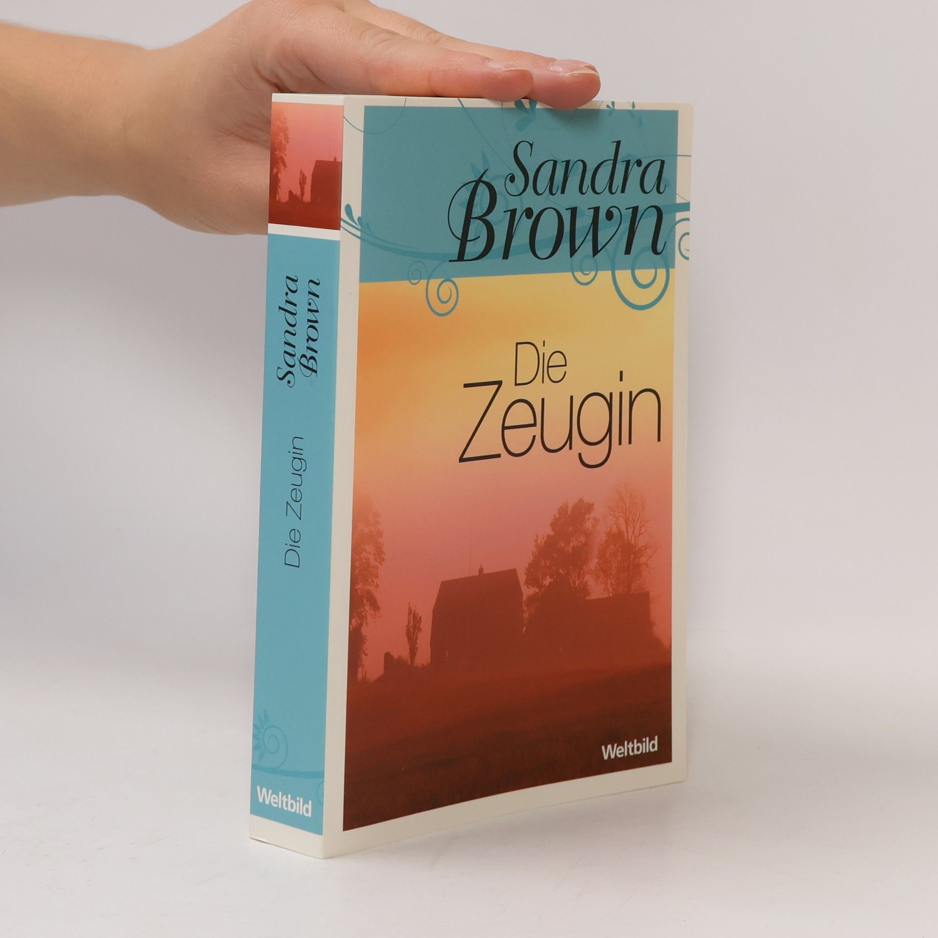 Sandra Brown Die Zeugin