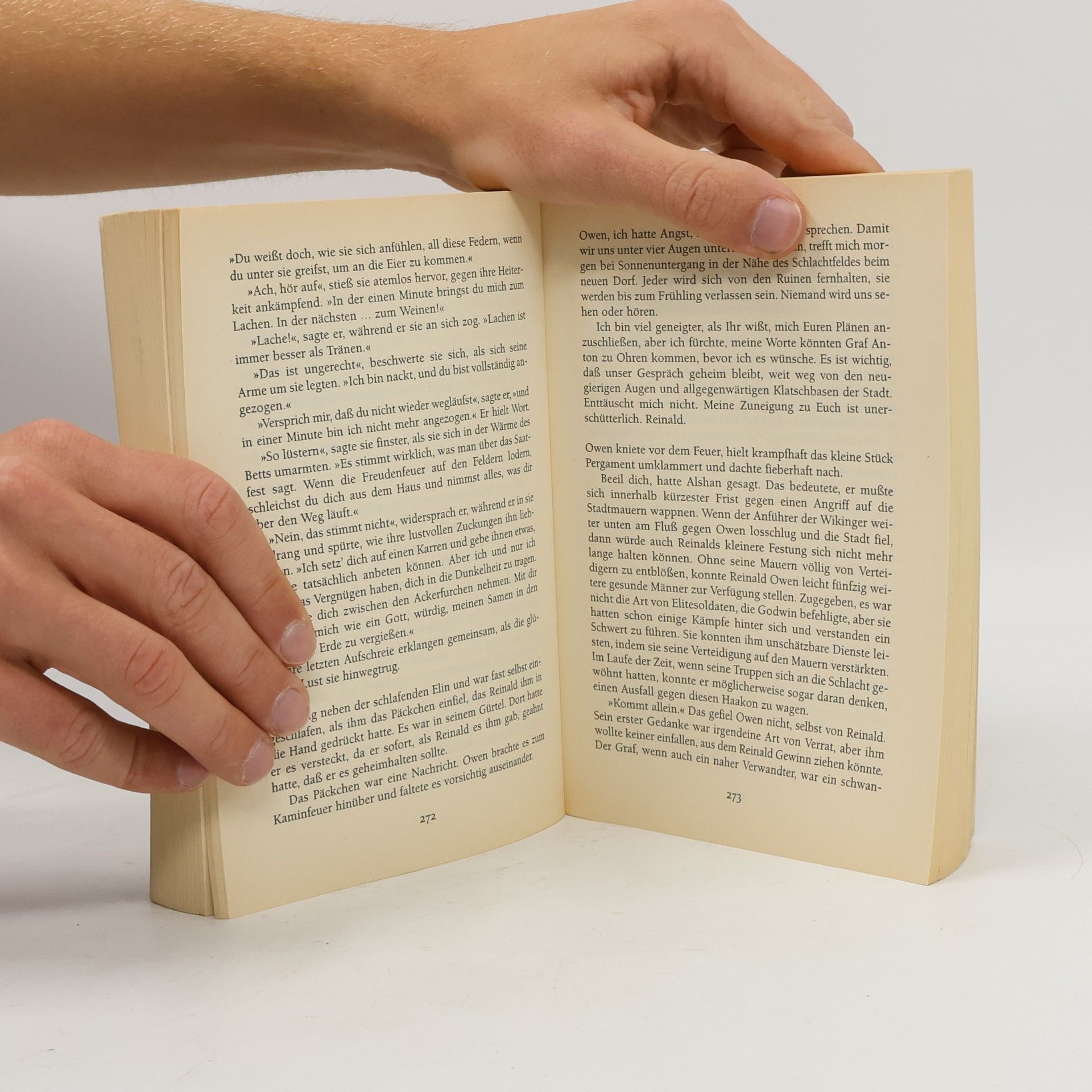 Alice Borchardt Die Mauern von Chantalon