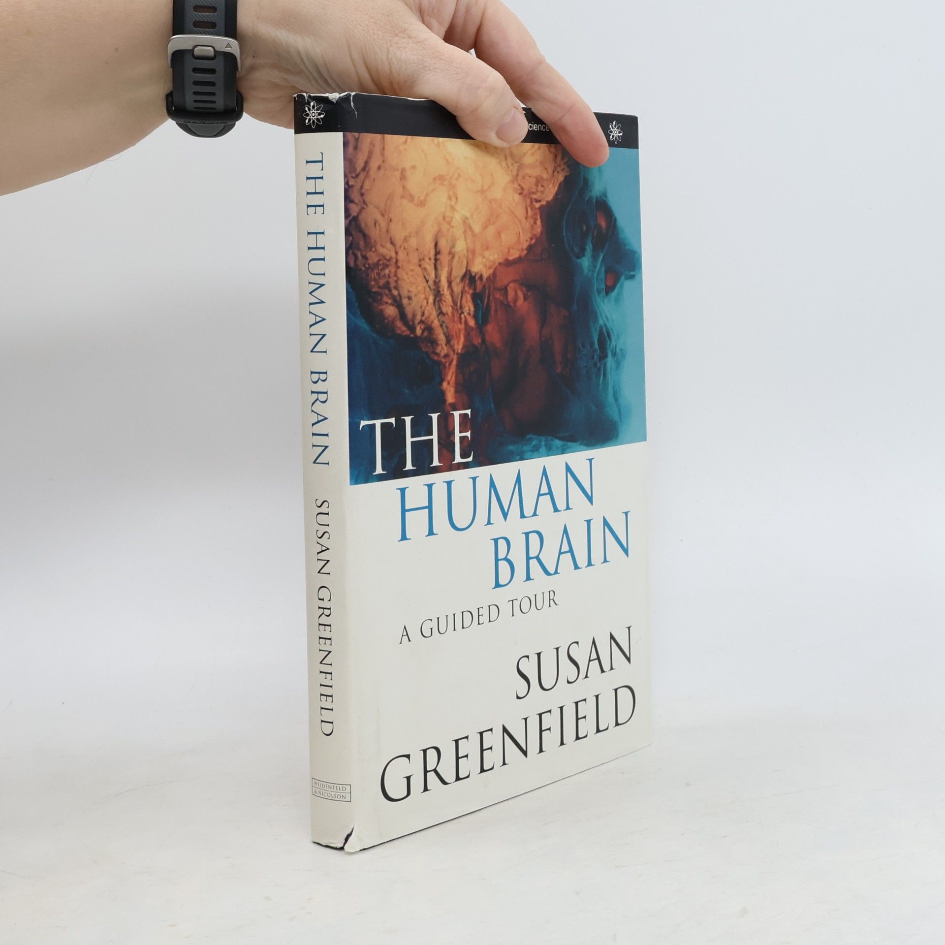 Susan Greenfield The Human Brain