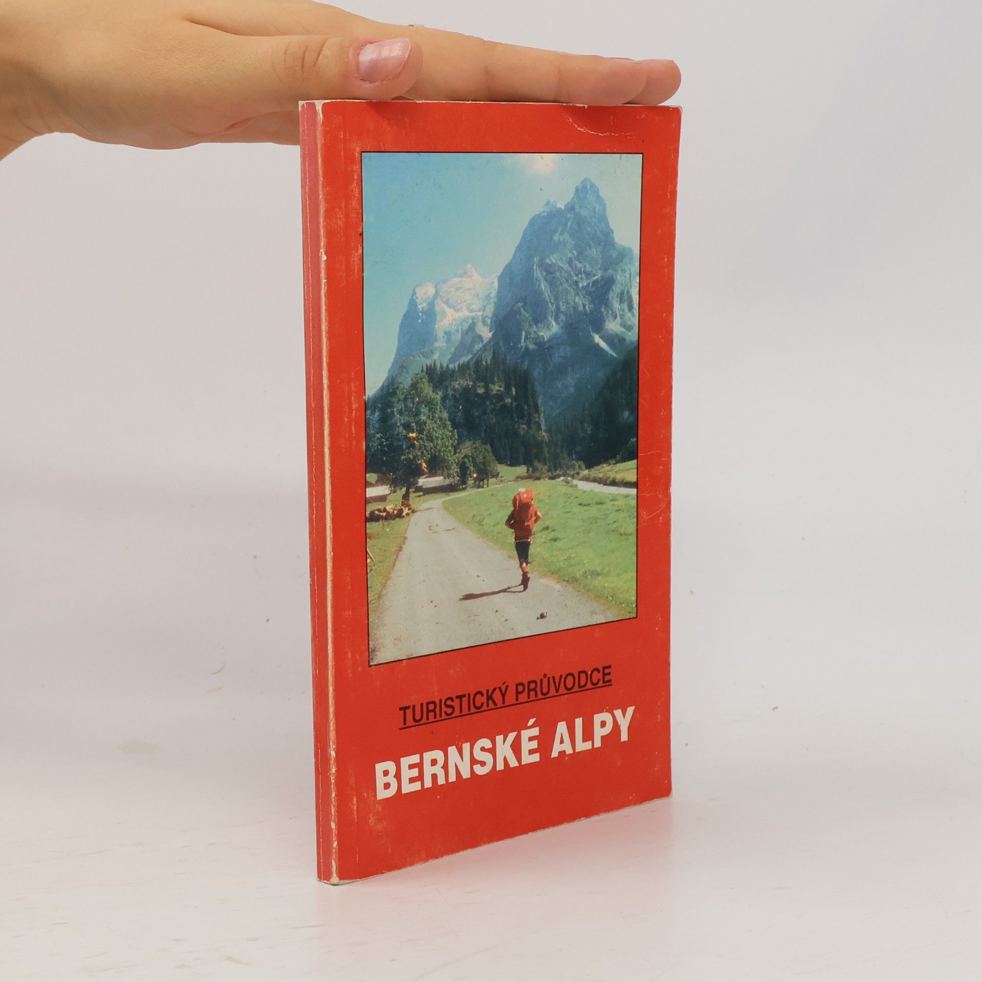 Bernské Alpy. Švýcarsko