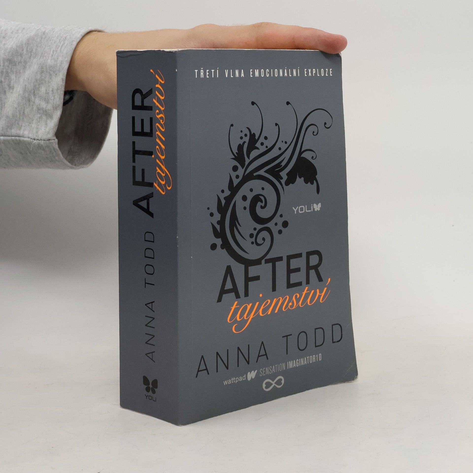 Anna Todd After. Tajemství