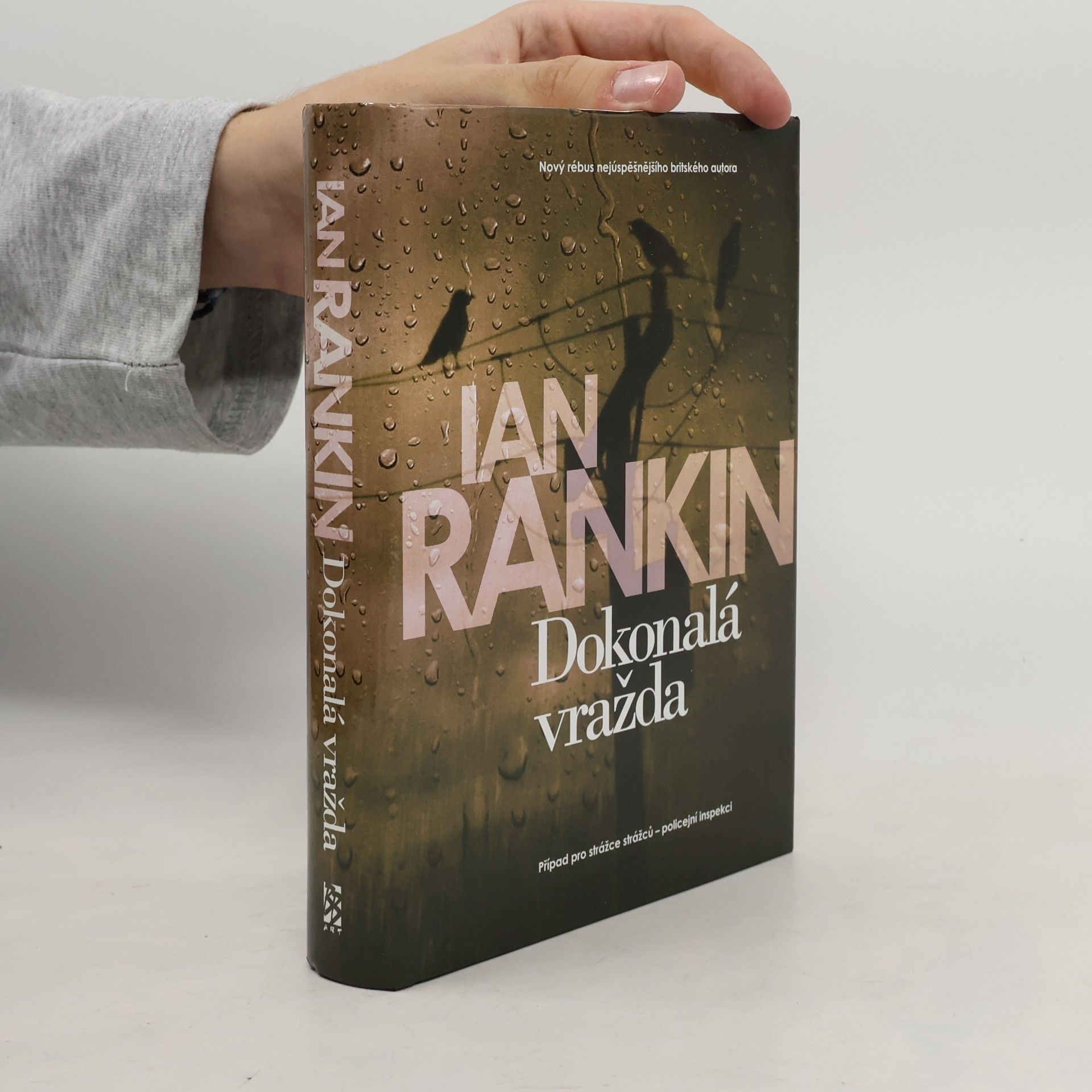 Ian Rankin Dokonalá vražda
